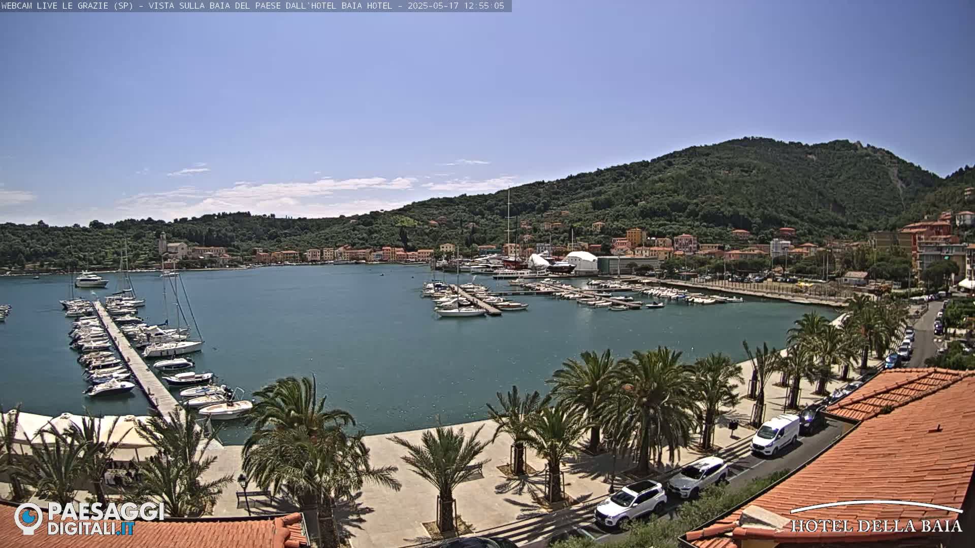 A sunny harbor scene shows numerous boats docked at a pier, palm trees lining a paved walkway, and a hillside town in the background.