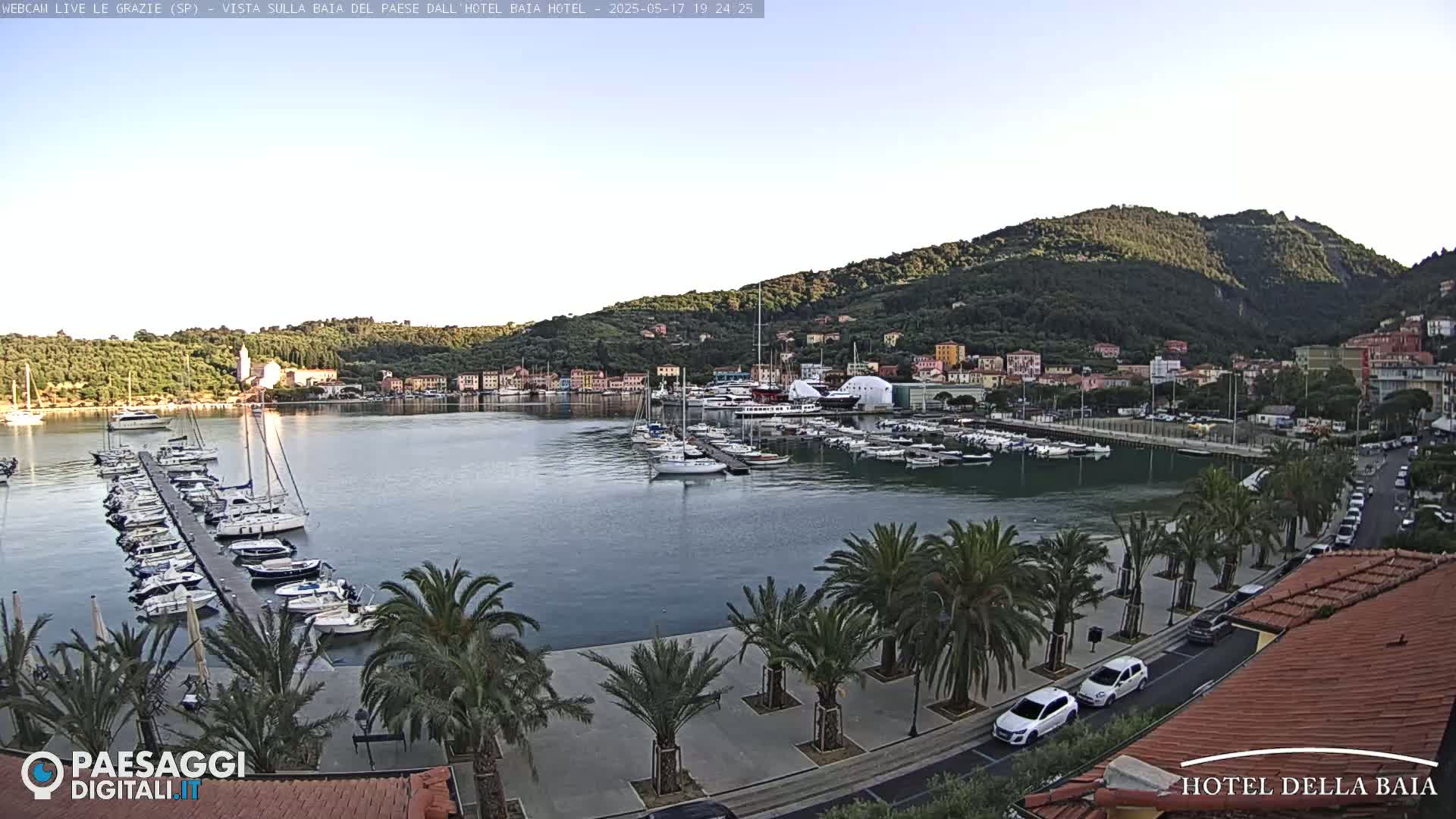 A calm harbor filled with sailboats and yachts is situated below a hillside town under a clear sky.