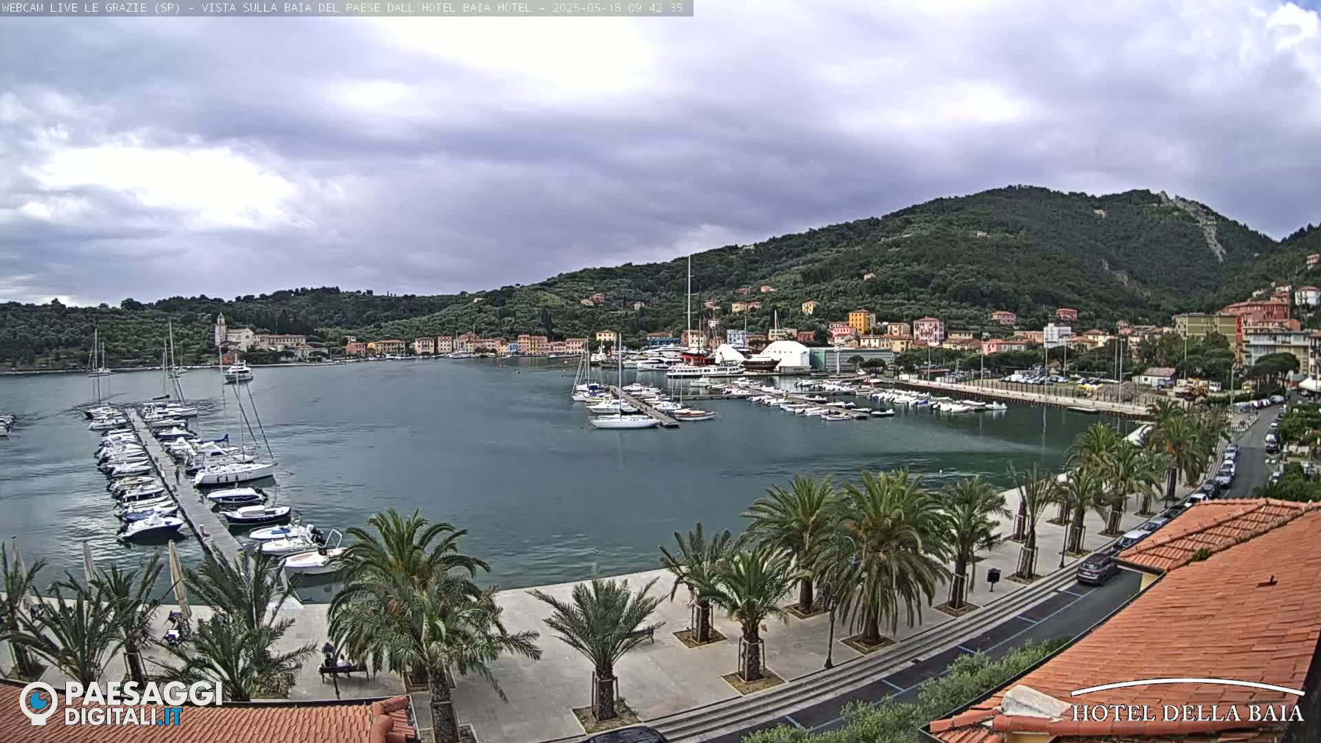 A harbor filled with boats is seen from an elevated position on a partly cloudy day, with palm trees lining a paved walkway along the waterfront and a hillside town in the background.