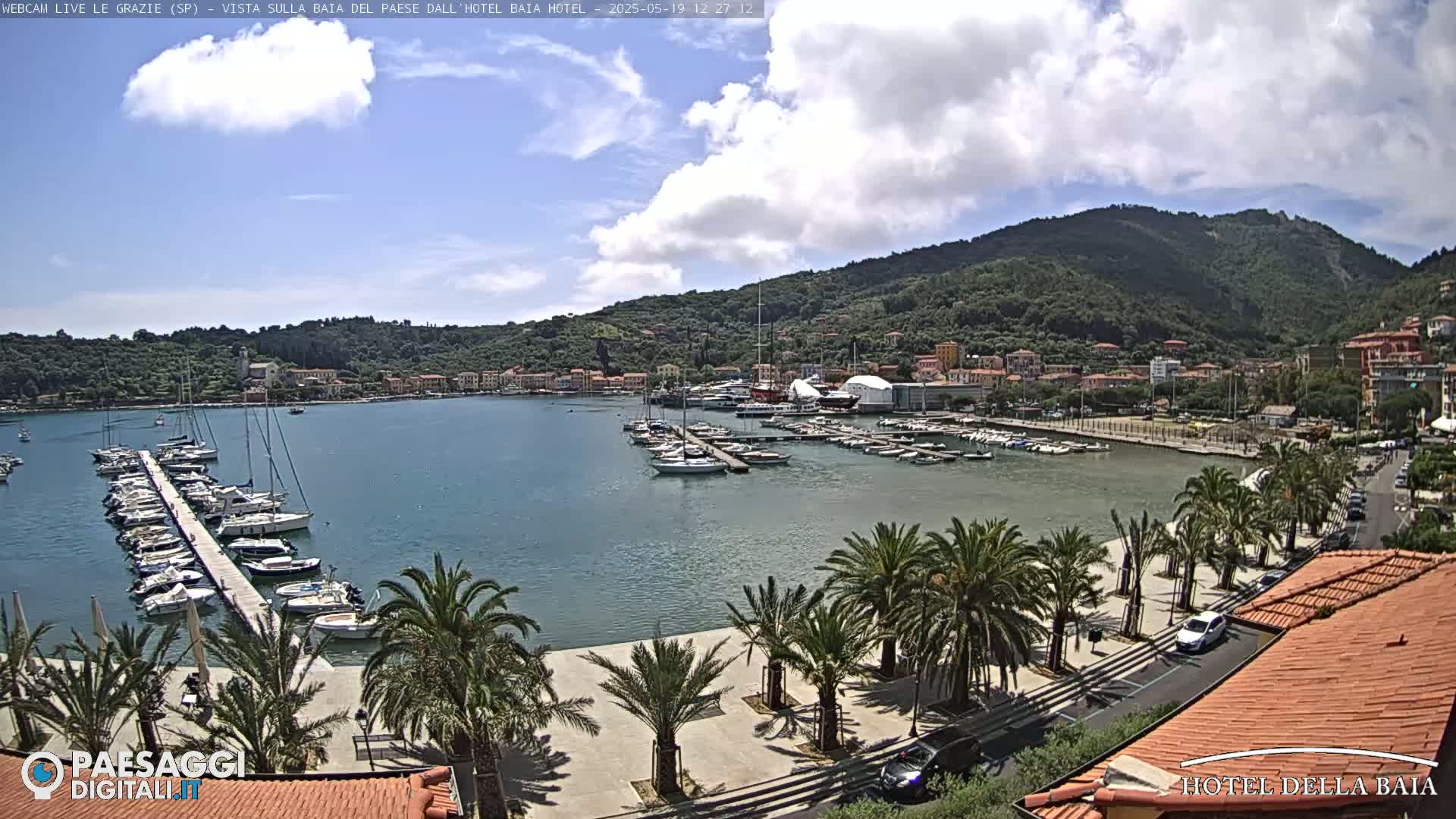 A harbor filled with boats is situated below a hillside town under a partly cloudy sky.