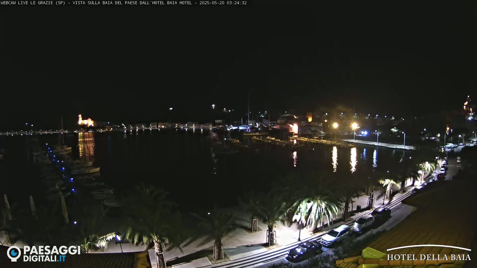A nighttime view of a harbor filled with boats, a town with illuminated buildings, and a palm tree-lined roadway.