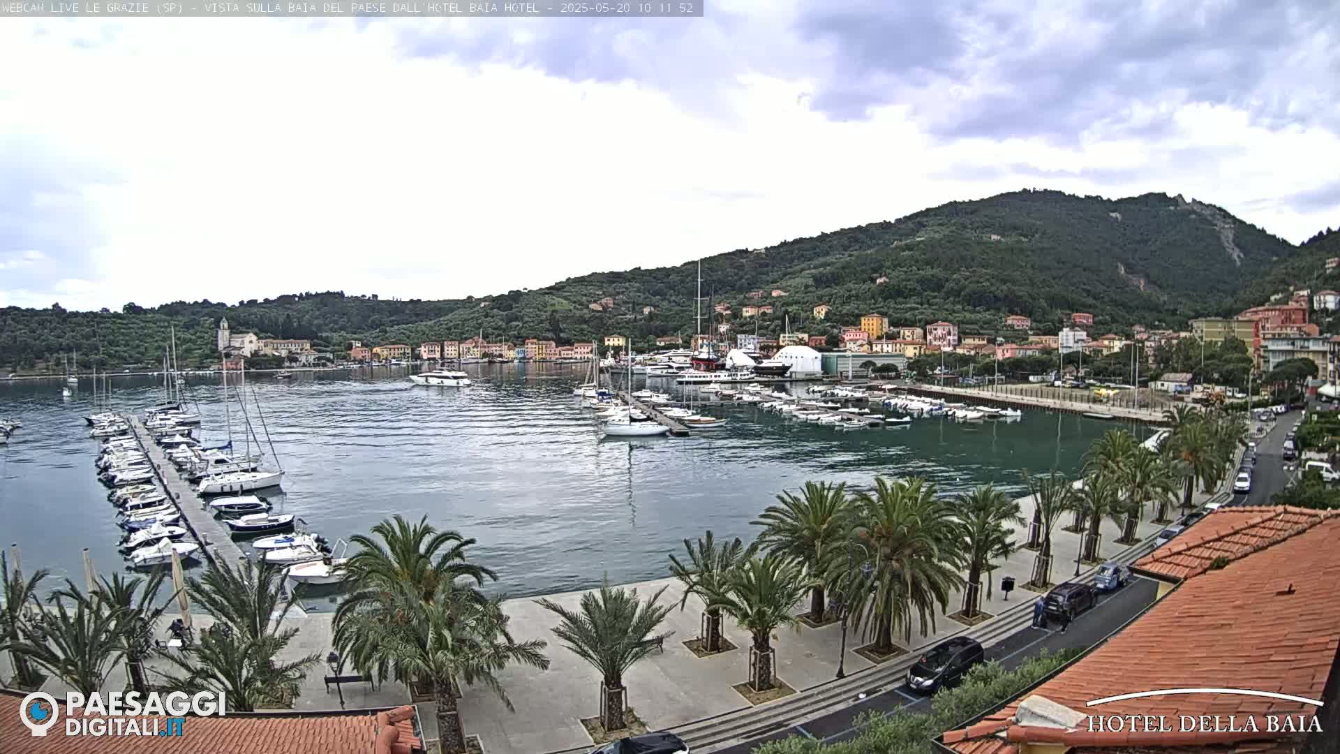 A harbor filled with sailboats is situated beside a waterfront promenade lined with palm trees, all under a partly cloudy sky.