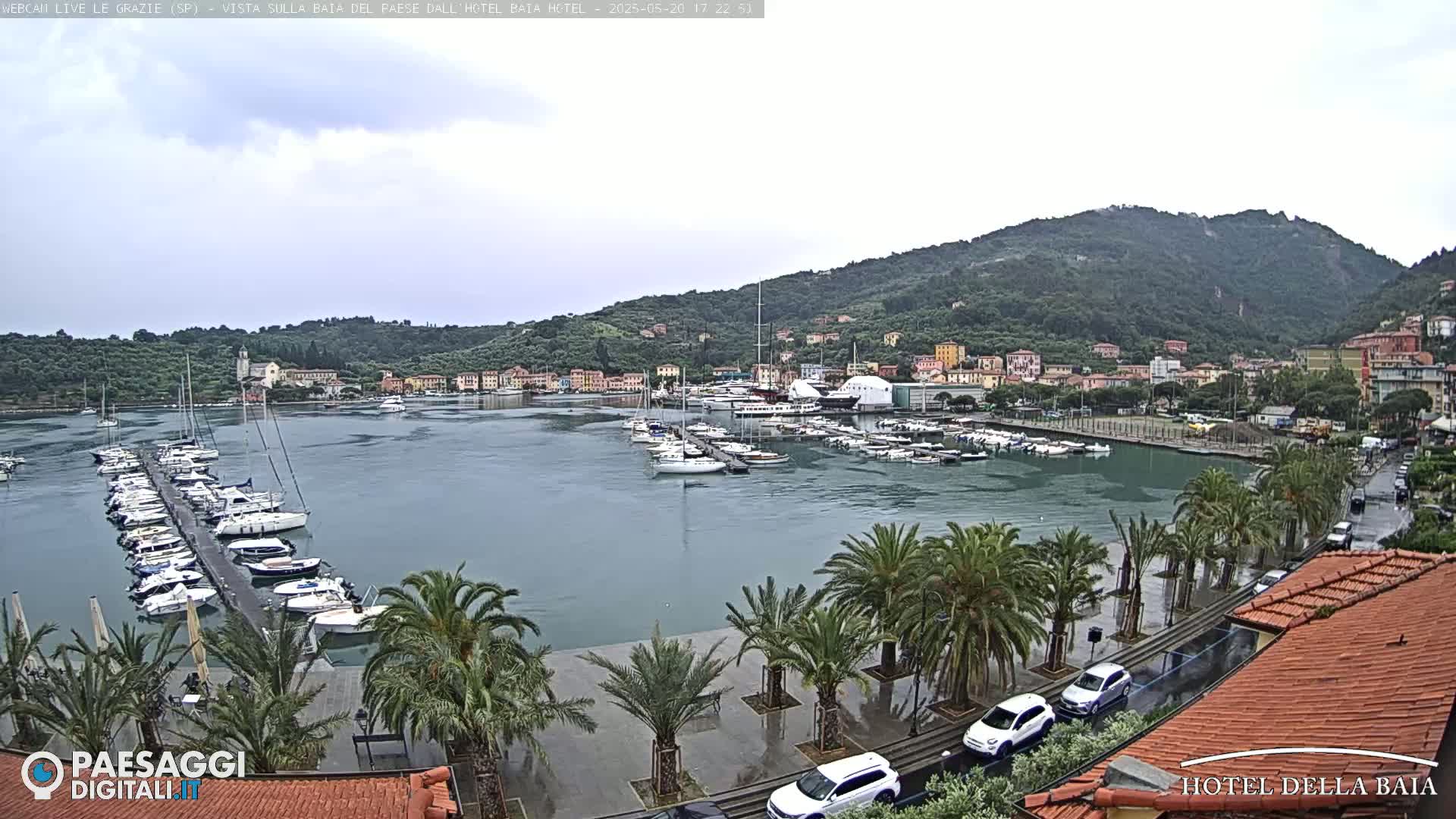 A harbor filled with boats is seen from a high vantage point on a wet, overcast day, with palm trees lining a paved walkway in the foreground and hills covered in buildings and vegetation in the background.