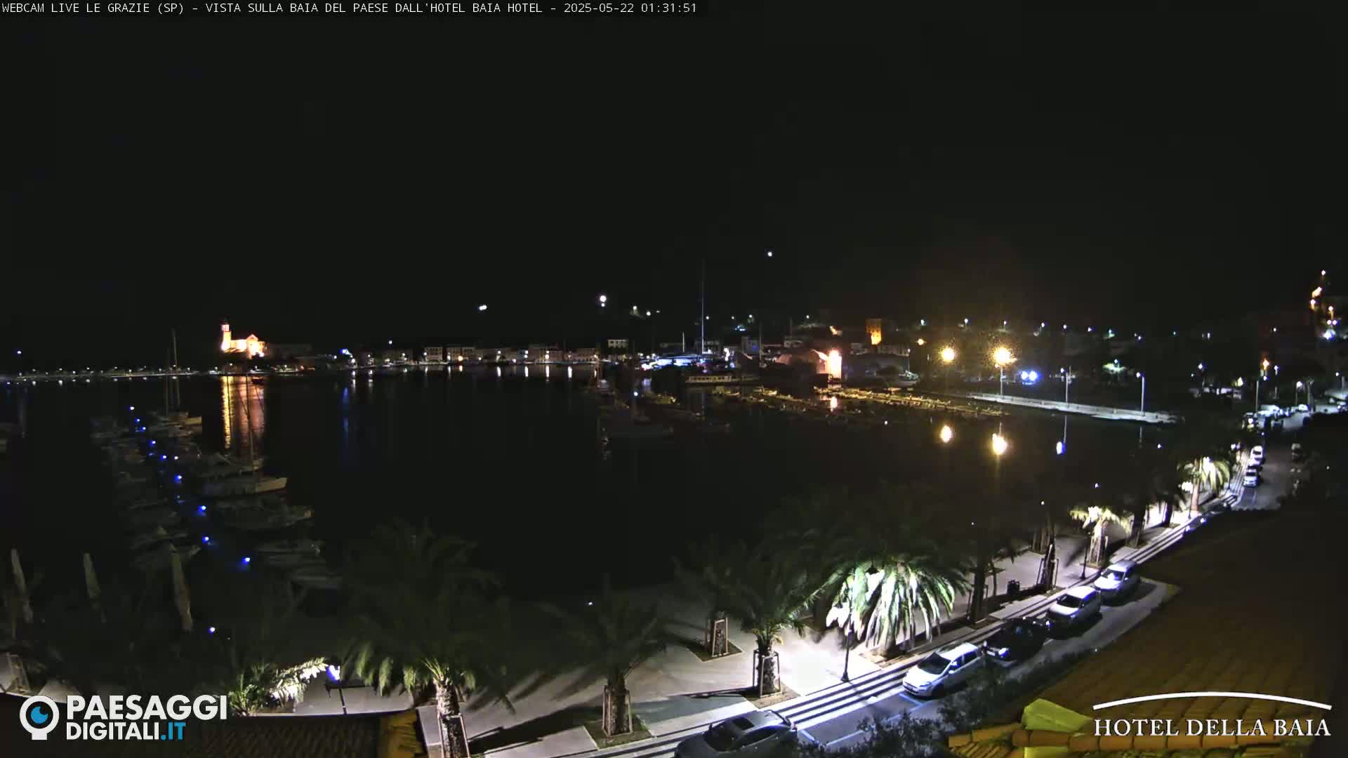 A nighttime view of a harbor with boats, palm trees lining a roadway, and a town illuminated in the background under a clear, dark sky.
