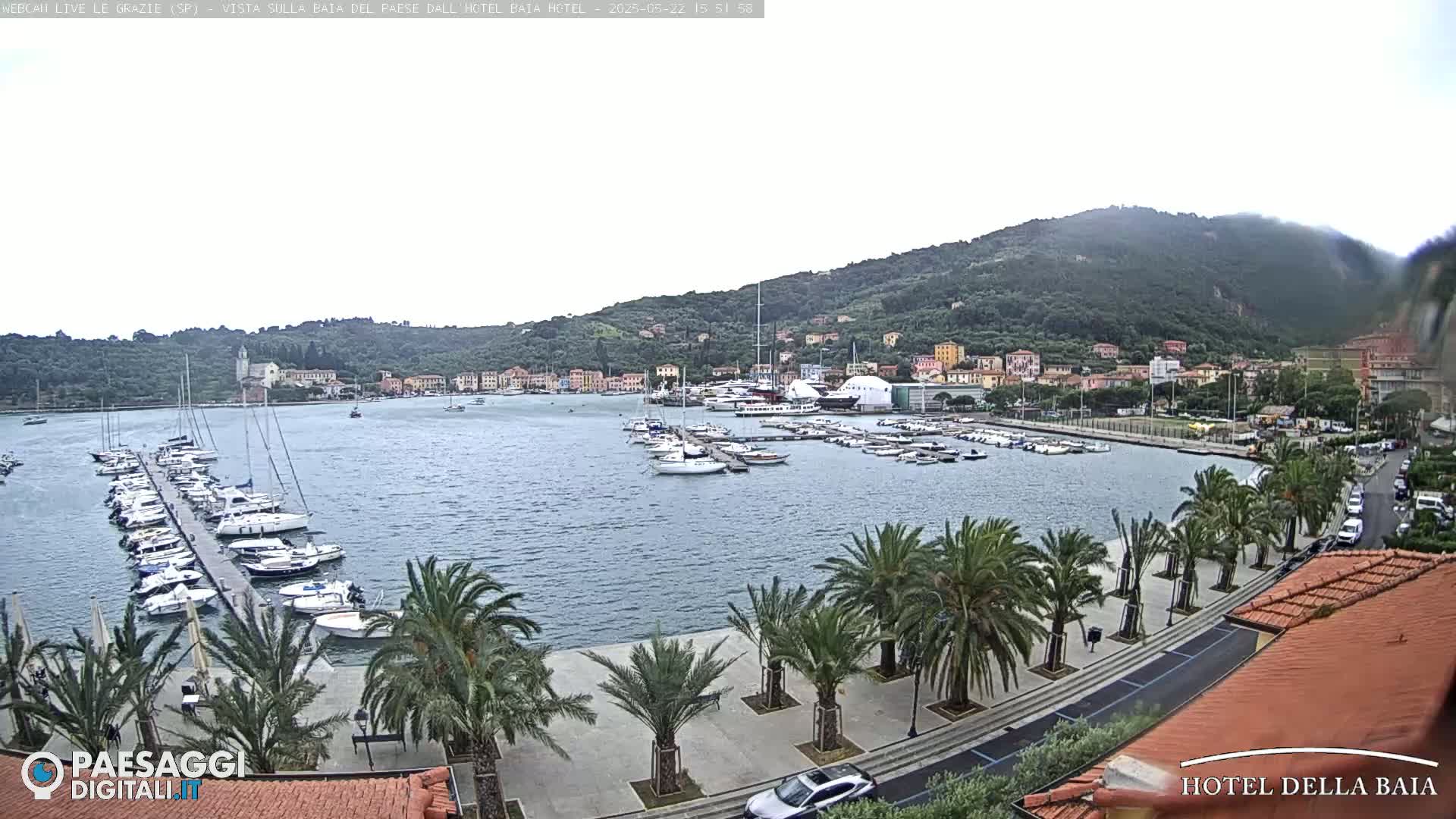 A harbor filled with sailboats is situated next to a town on a hillside, under an overcast sky.