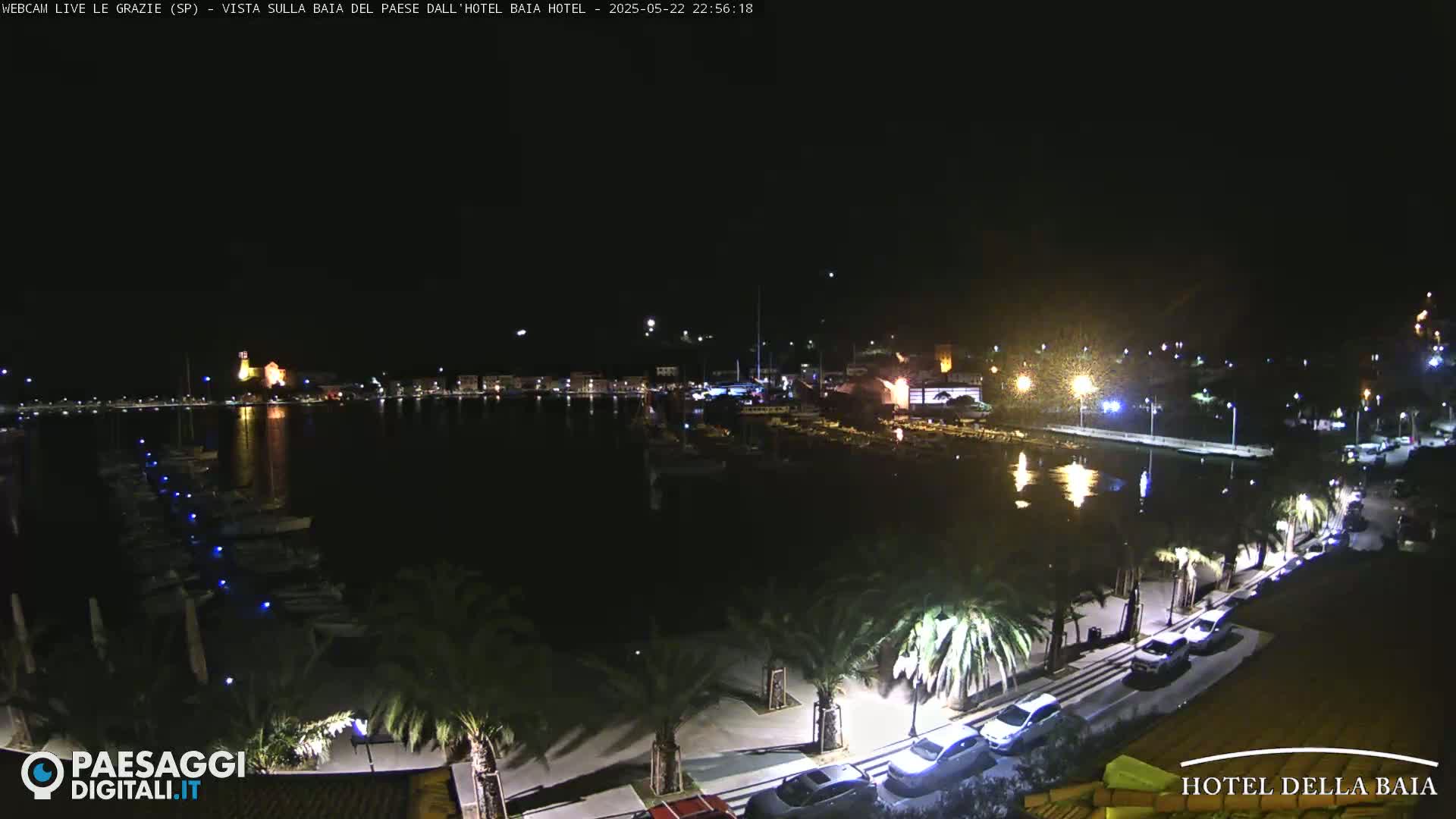 A nighttime view of a harbor filled with boats, a town with lights, and a palm-tree-lined walkway.