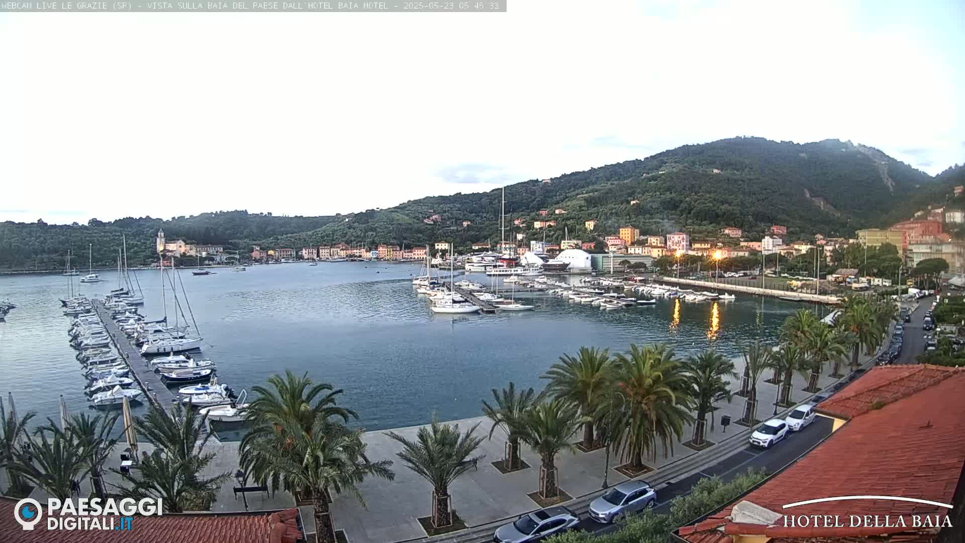 A calm harbor filled with sailboats and motorboats is nestled beneath a hill dotted with buildings, all under a twilight sky.
