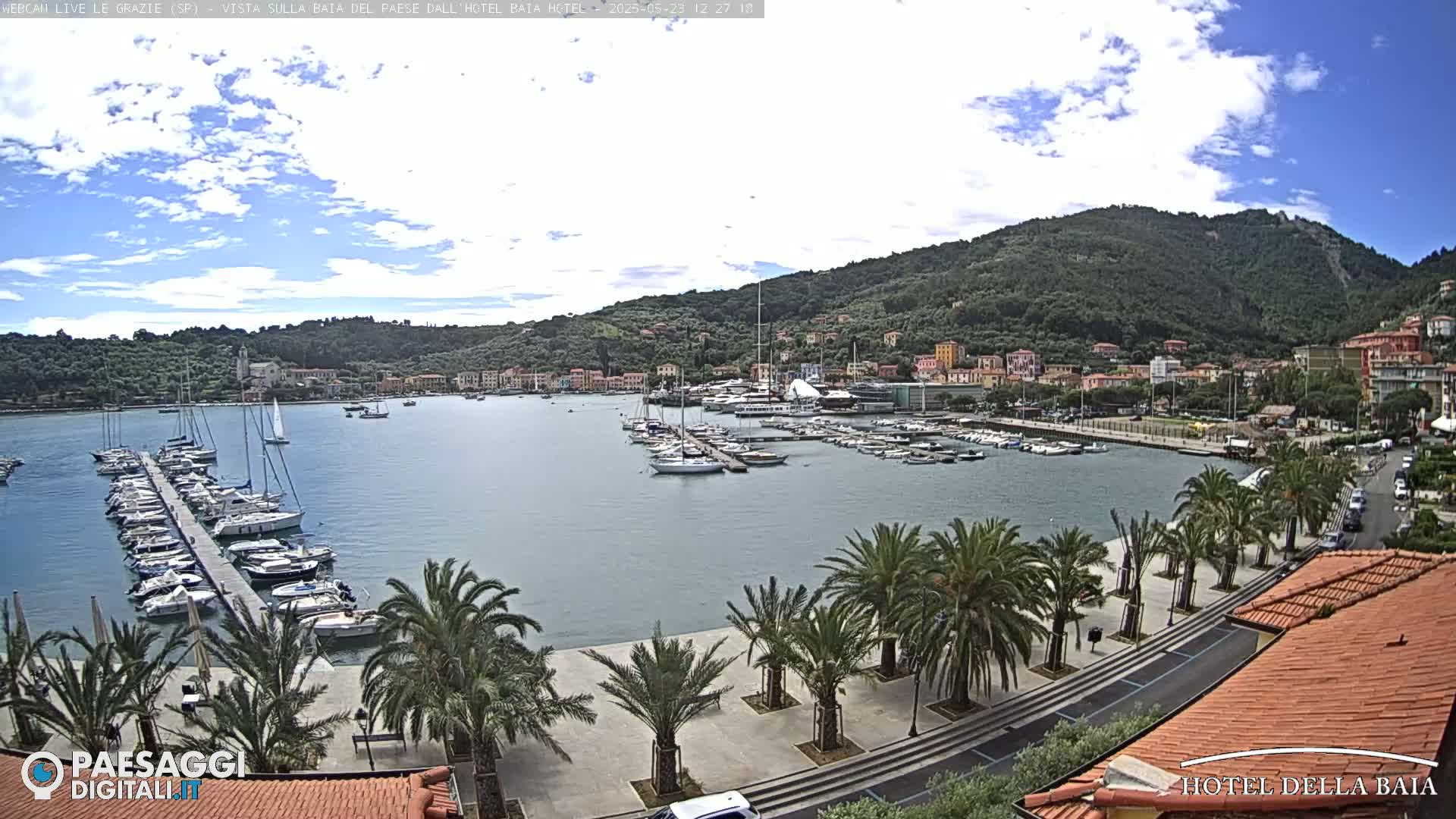 A harbor filled with sailboats and yachts is situated below a hillside town under a partly cloudy sky.
