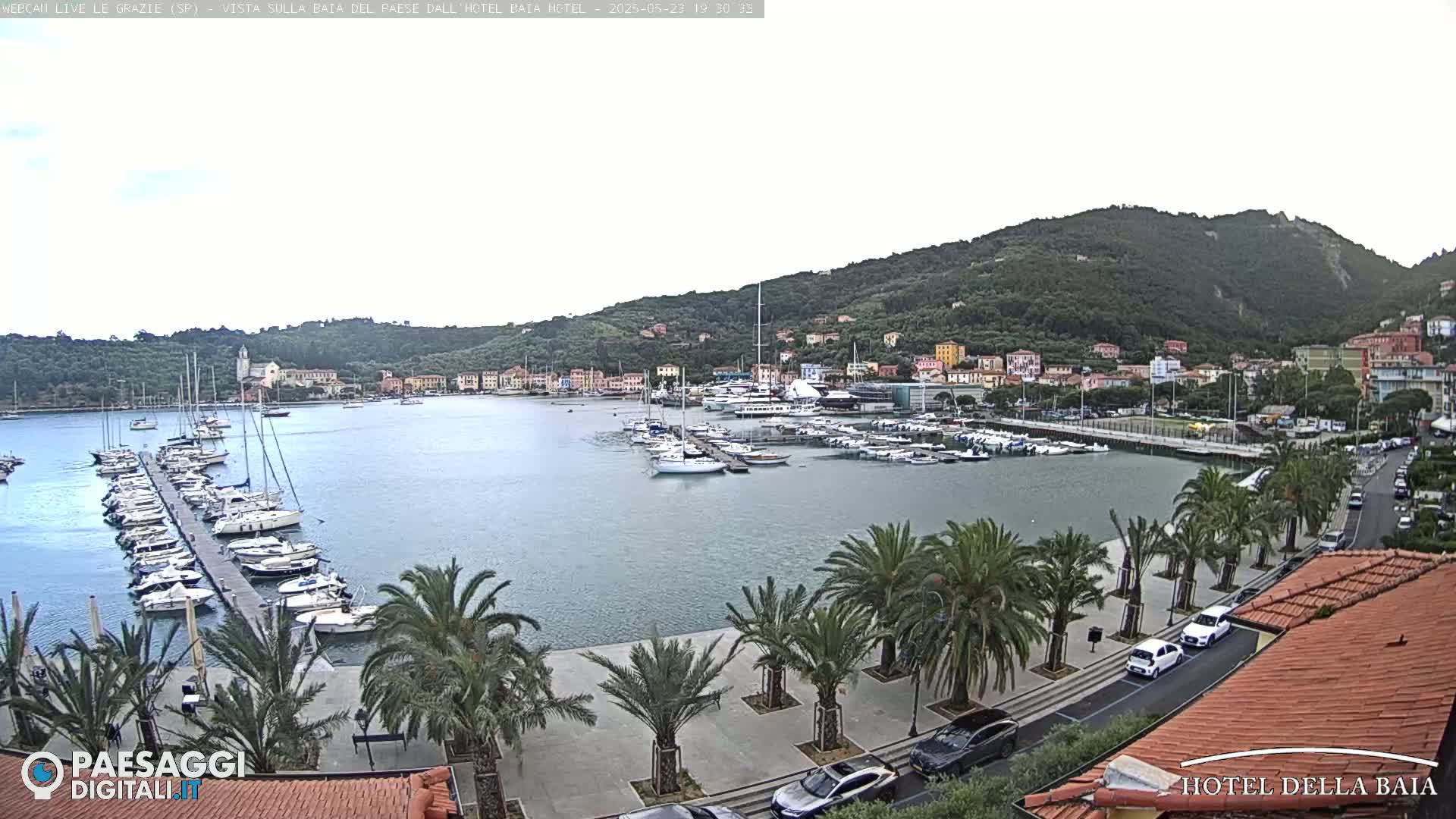 A harbor filled with sailboats and yachts is situated below a hillside town under an overcast sky.