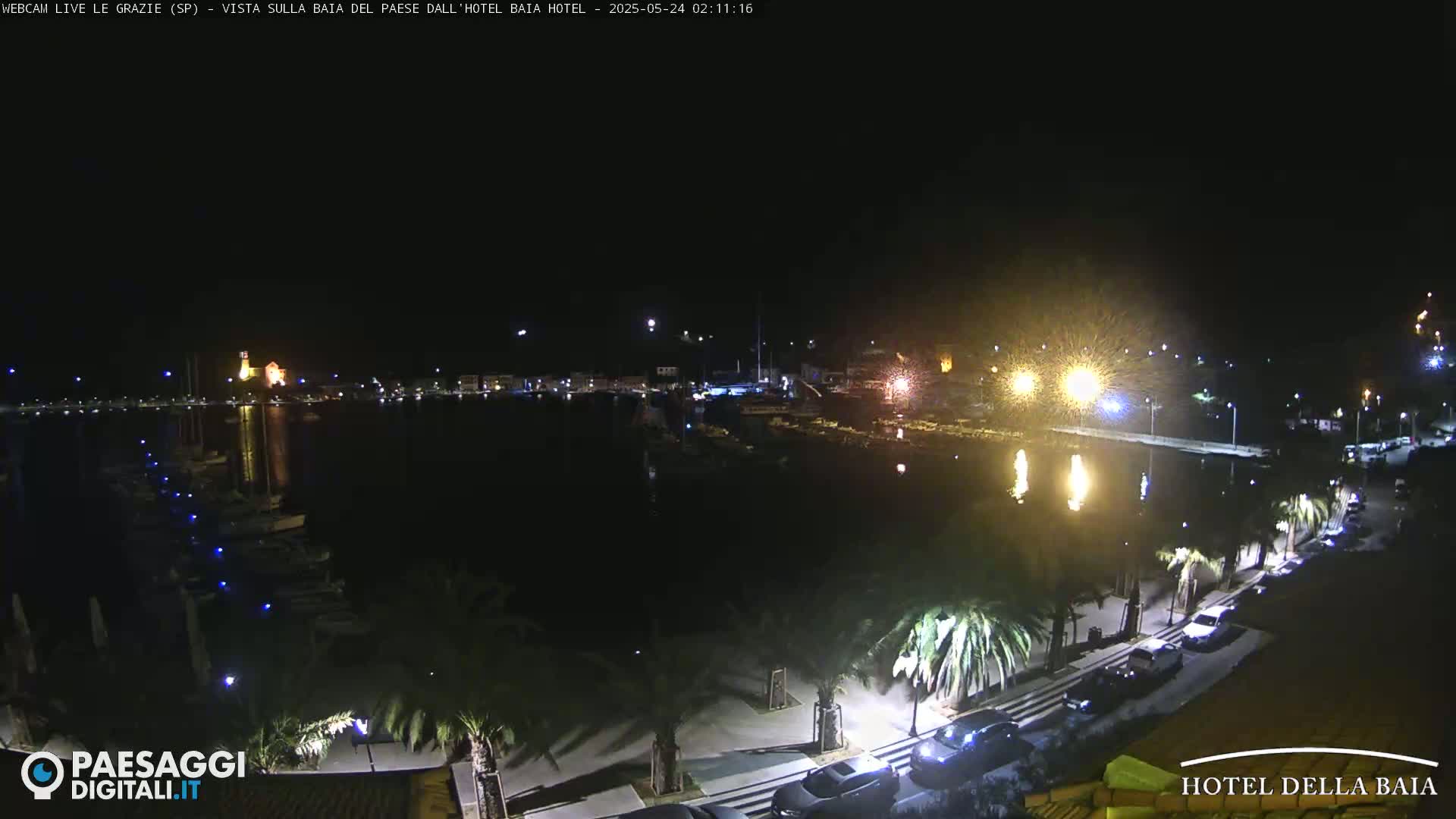 A nighttime view of a harbor with boats, palm trees lining a walkway, and a few cars parked along the waterfront under a clear, dark sky.