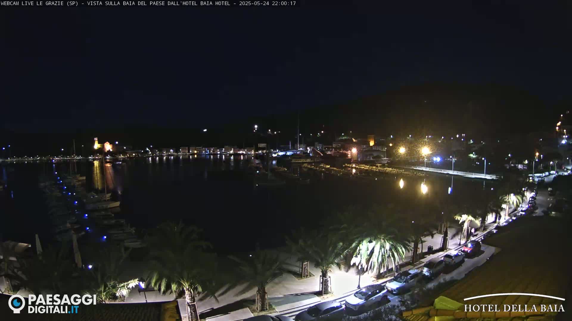 A nighttime view of a harbor filled with boats, a town illuminated by lights, and palm trees lining a roadway along the waterfront under a dark sky.
