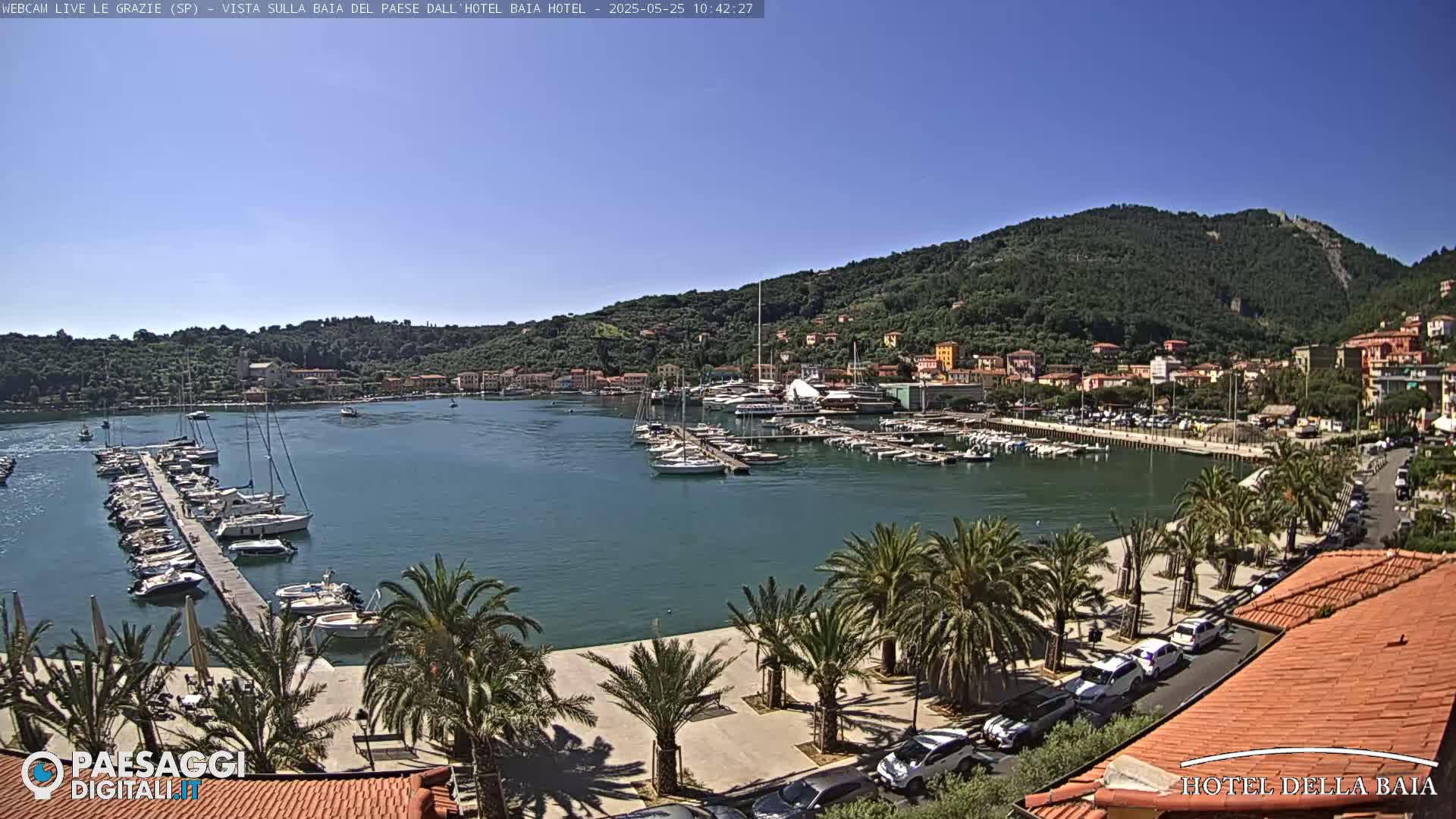 A sunny harbor filled with sailboats and yachts is surrounded by a town nestled against a lush green hillside, with palm trees lining a paved waterfront area.