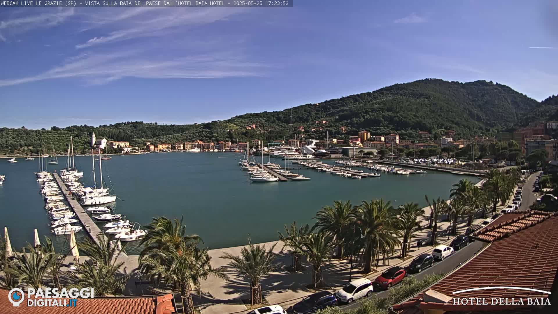 A harbor filled with sailboats and yachts is situated below a hillside town under a clear, sunny sky.