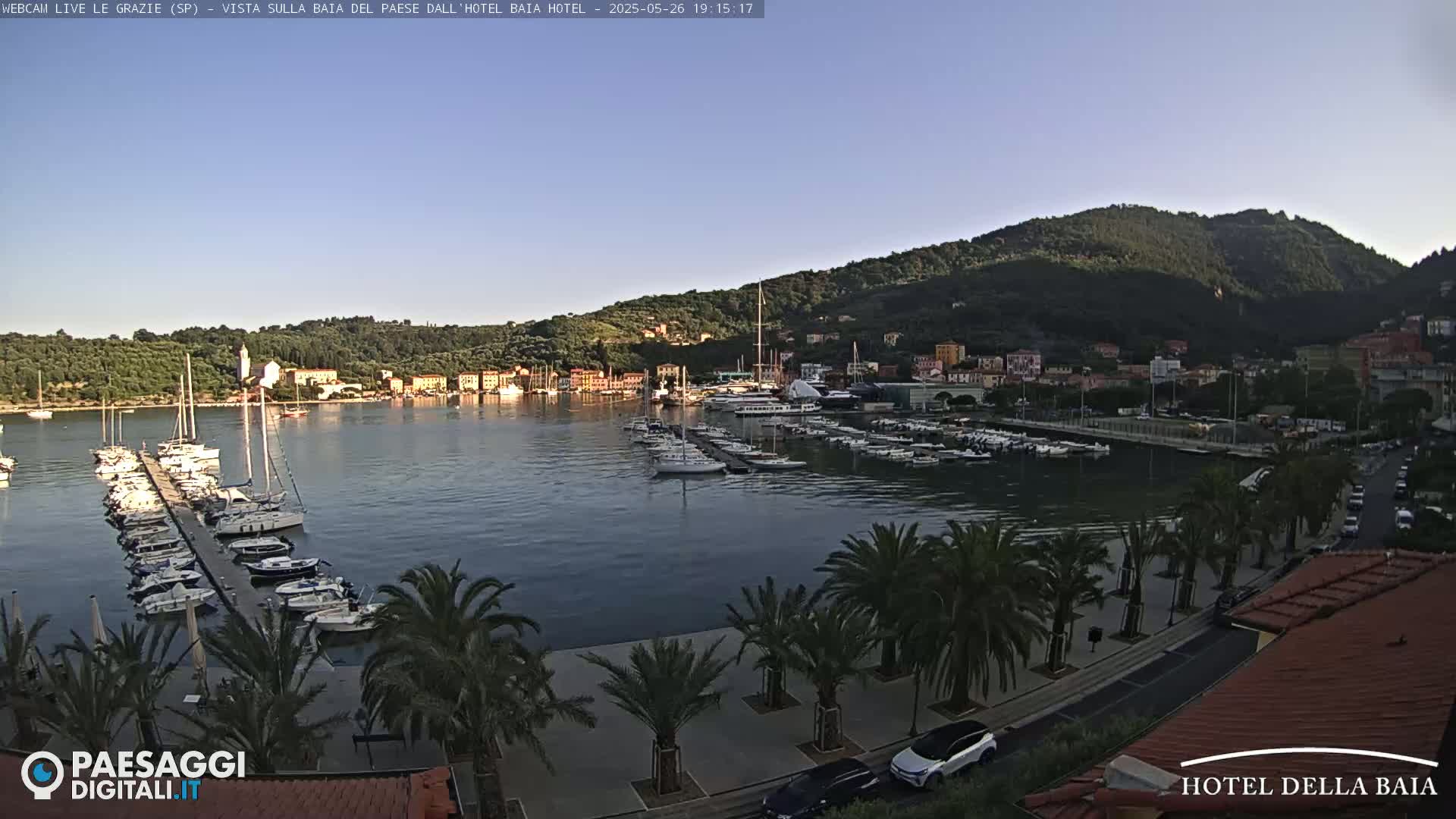 A harbor filled with sailboats and motorboats is nestled below a hill covered in green vegetation under a clear sky.