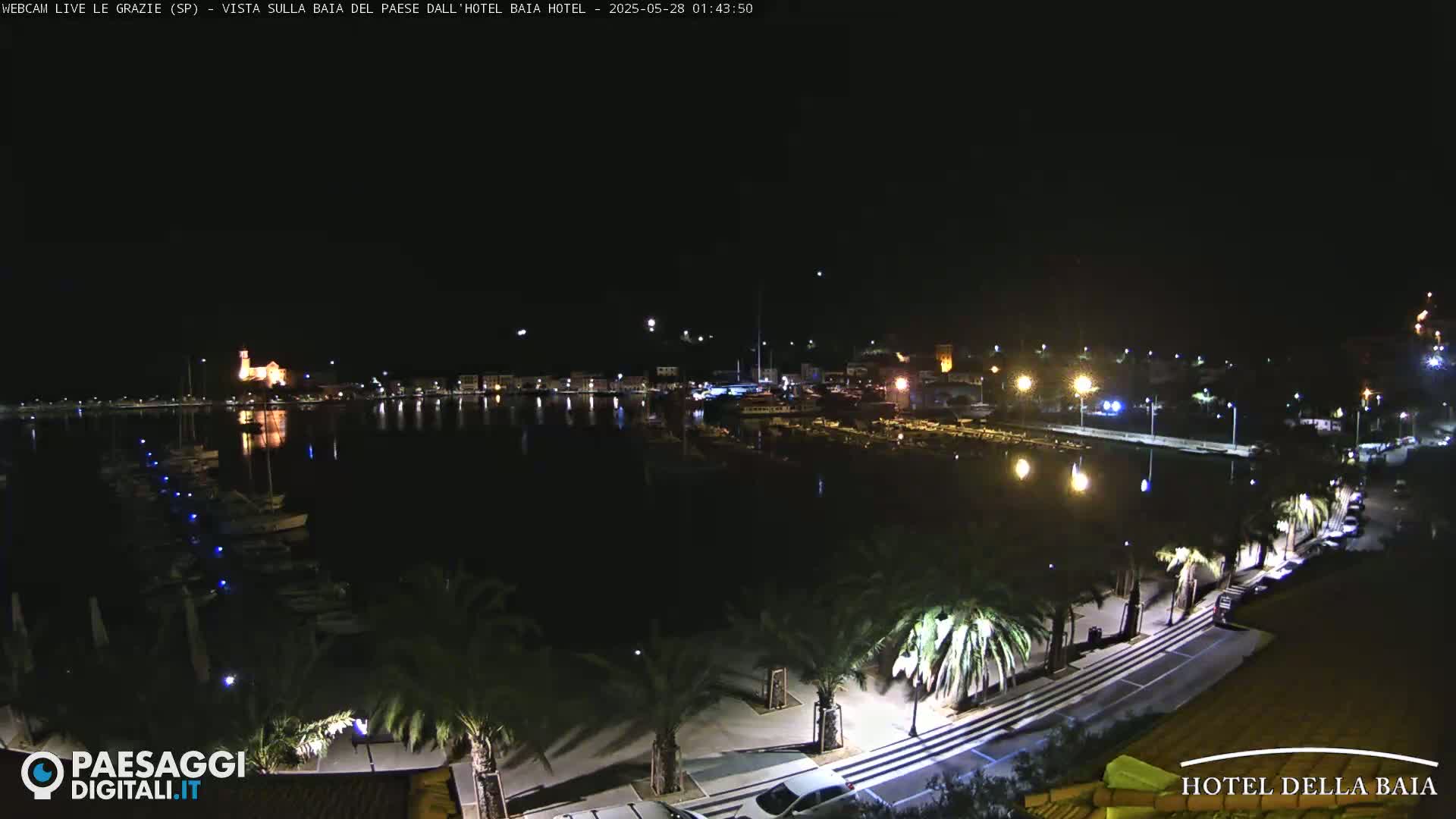 A nighttime view of a harbor filled with boats, illuminated buildings along the waterfront, and palm trees lining a paved road.
