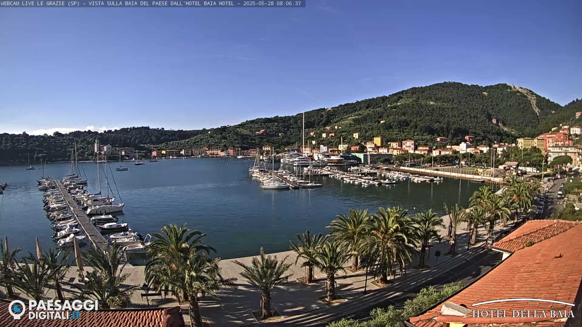 A harbor filled with boats is nestled next to a town situated at the base of a verdant hill under a clear blue sky.