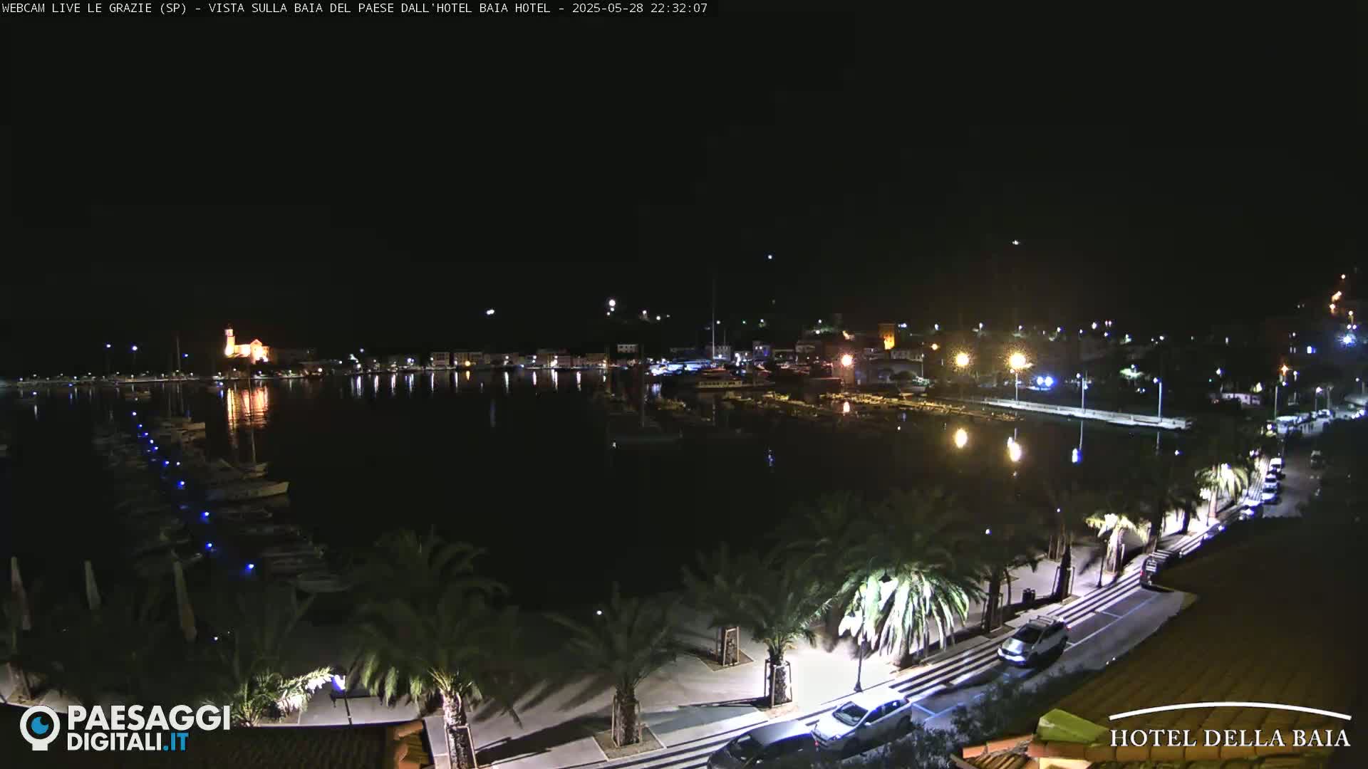 A nighttime view of a harbor filled with boats, a town with lights, and a palm tree-lined roadway.
