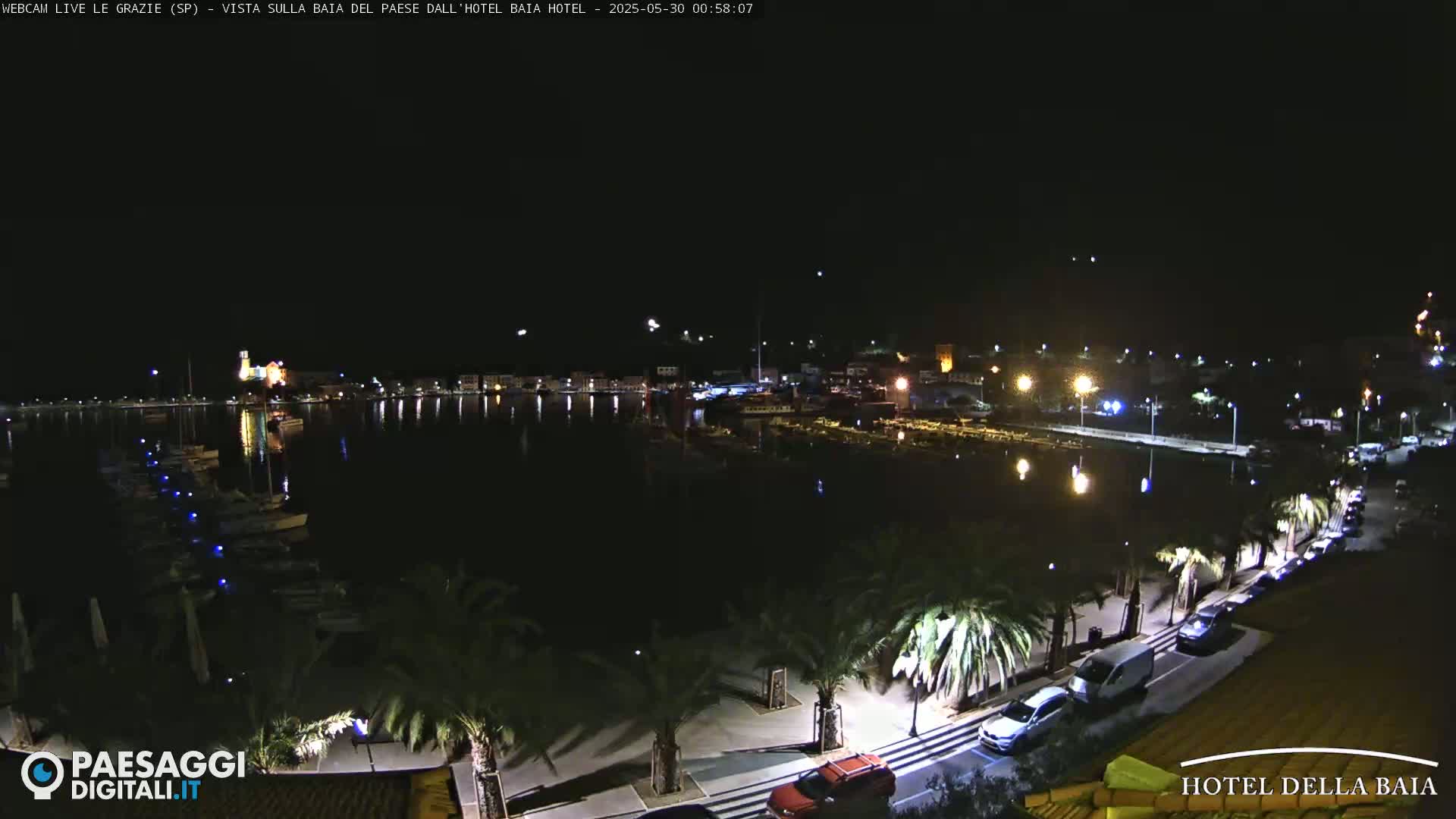 A nighttime view of a harbor filled with boats, a town with streetlights, and palm trees lining a road.