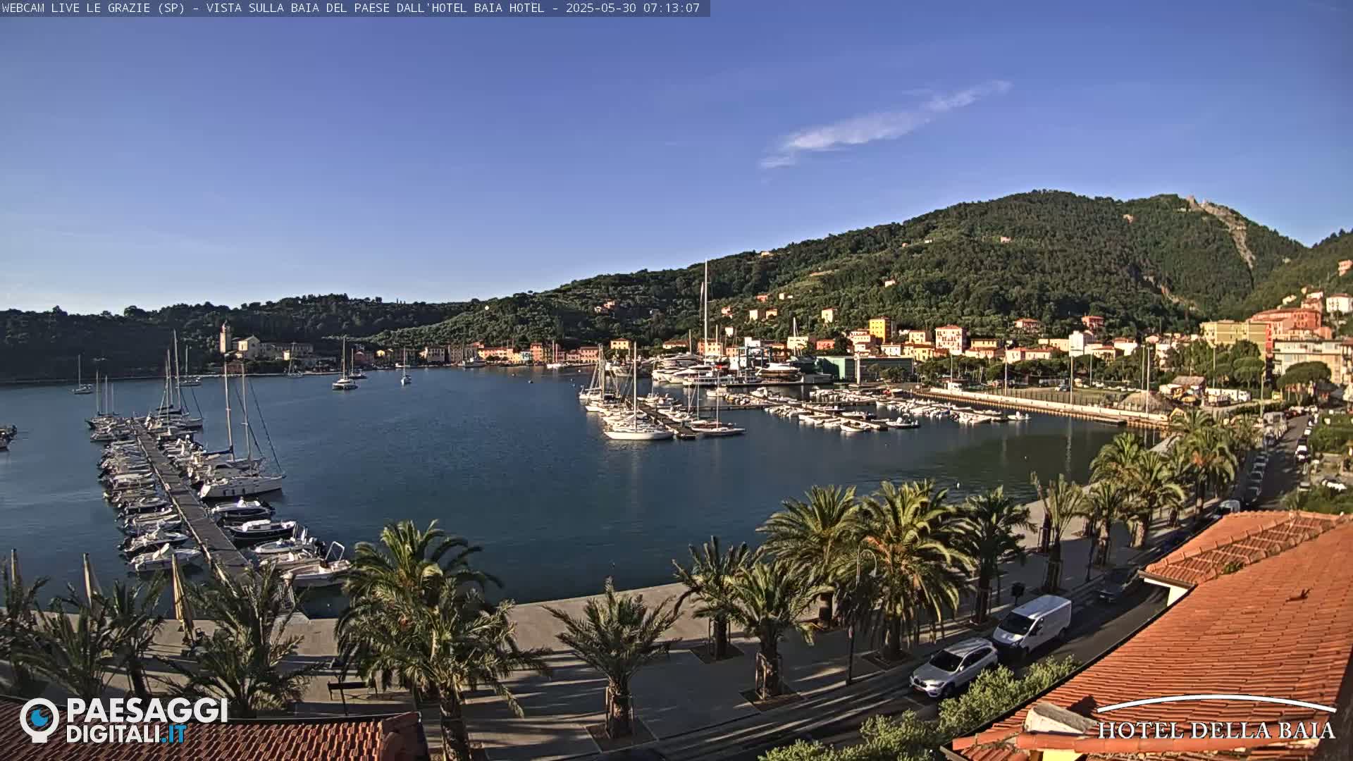 A harbor filled with boats is situated in front of a town nestled against a green hillside under a clear sky.
