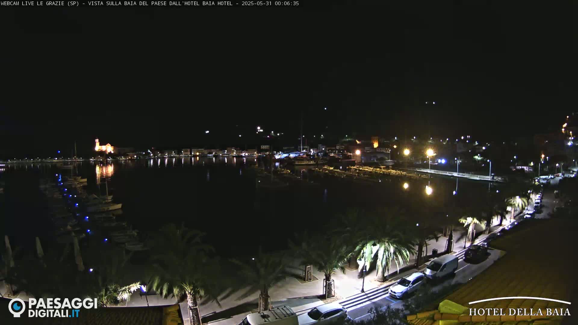 A nighttime view of a harbor town, with boats moored in the water and palm trees lining a waterfront road under a clear, dark sky.