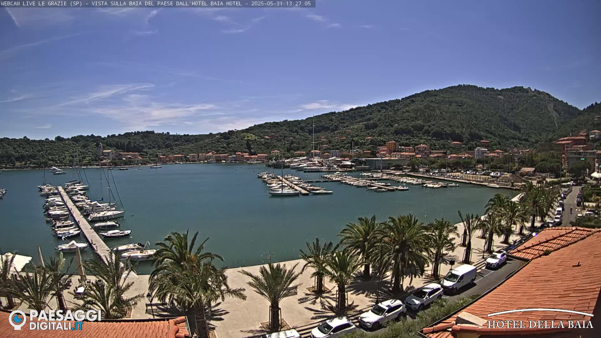 A harbor filled with sailboats and yachts is situated below a hillside town under a clear, sunny sky.