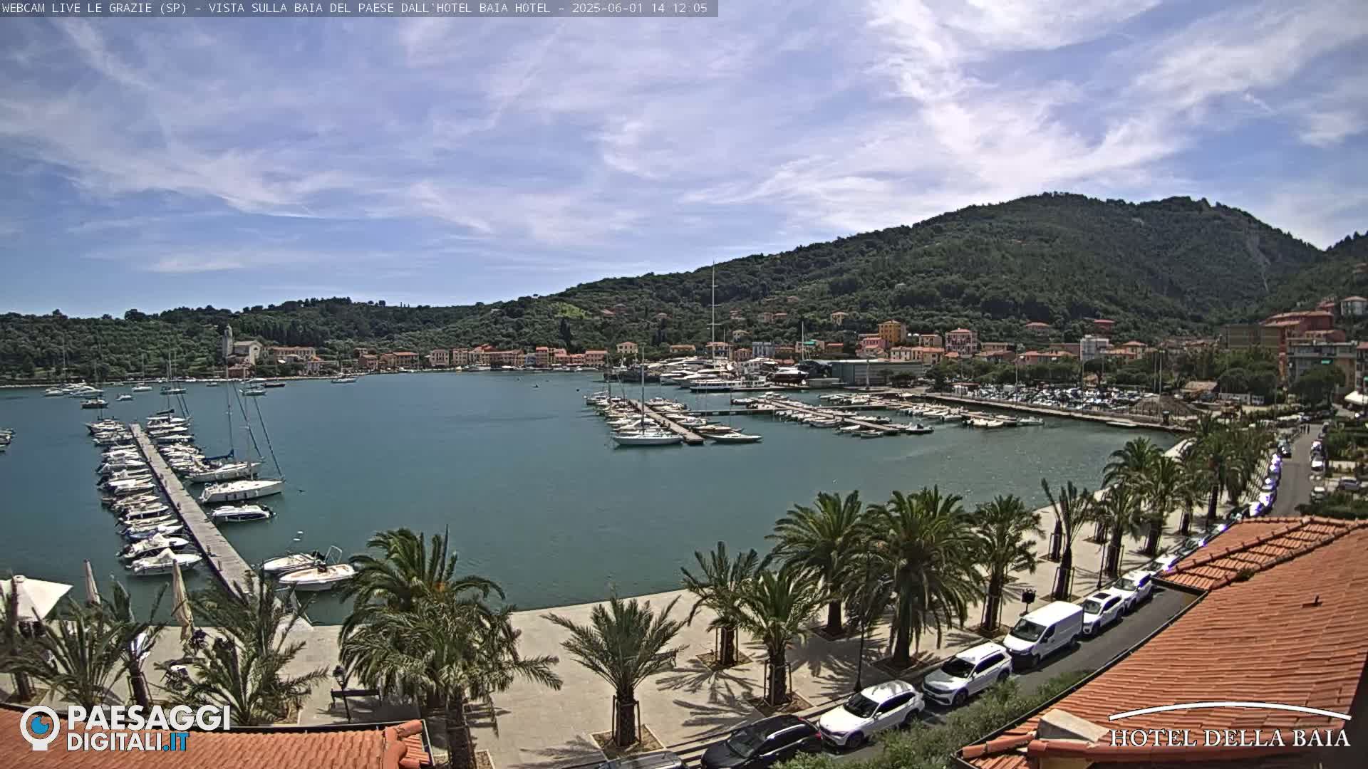 A harbor filled with sailboats and yachts is nestled in a town at the foot of a lush green mountain under a mostly sunny sky.