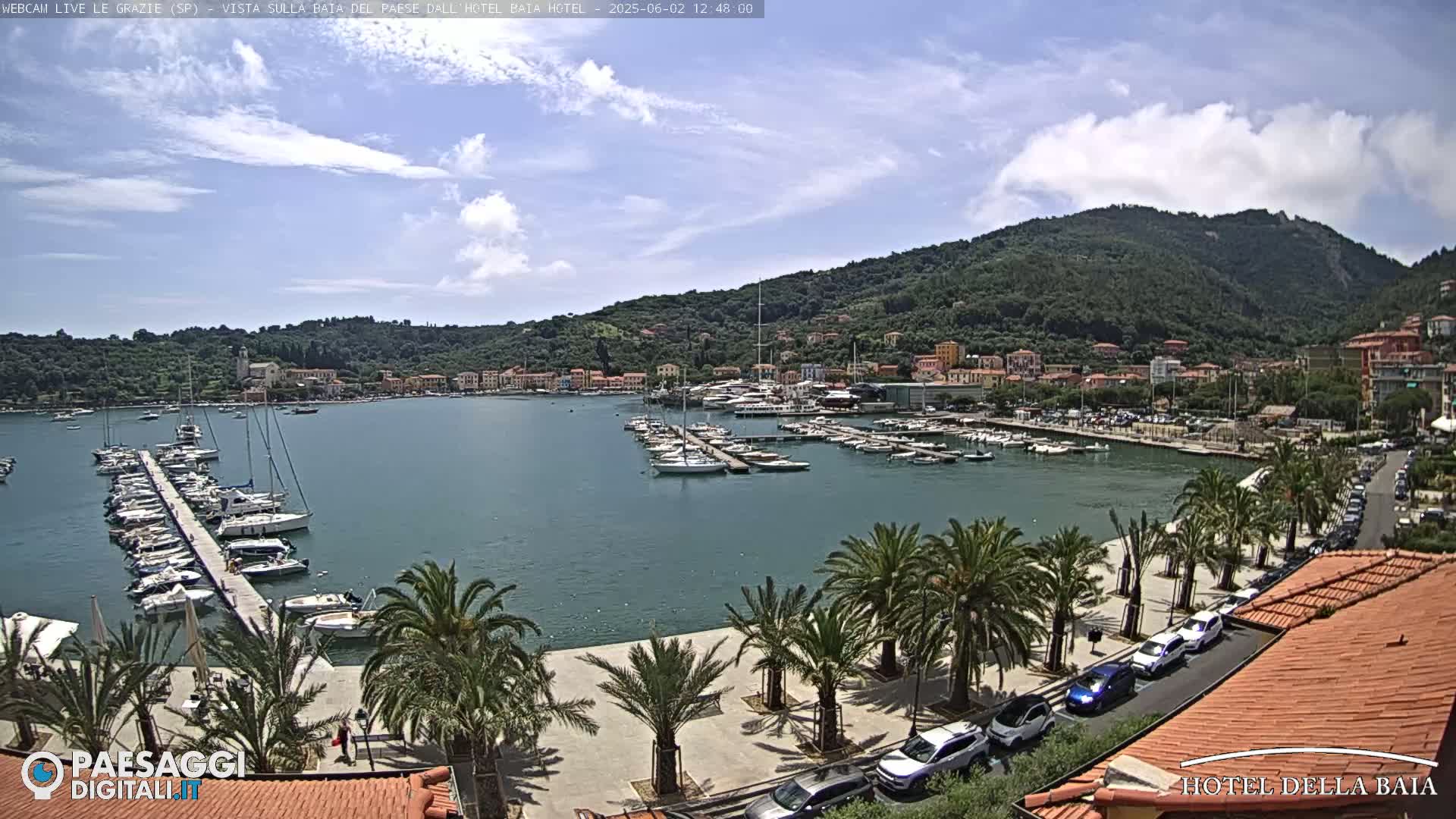 A sunny harbor filled with sailboats and yachts is nestled beside a town built on a hillside, palm trees lining a paved walkway along the water's edge.