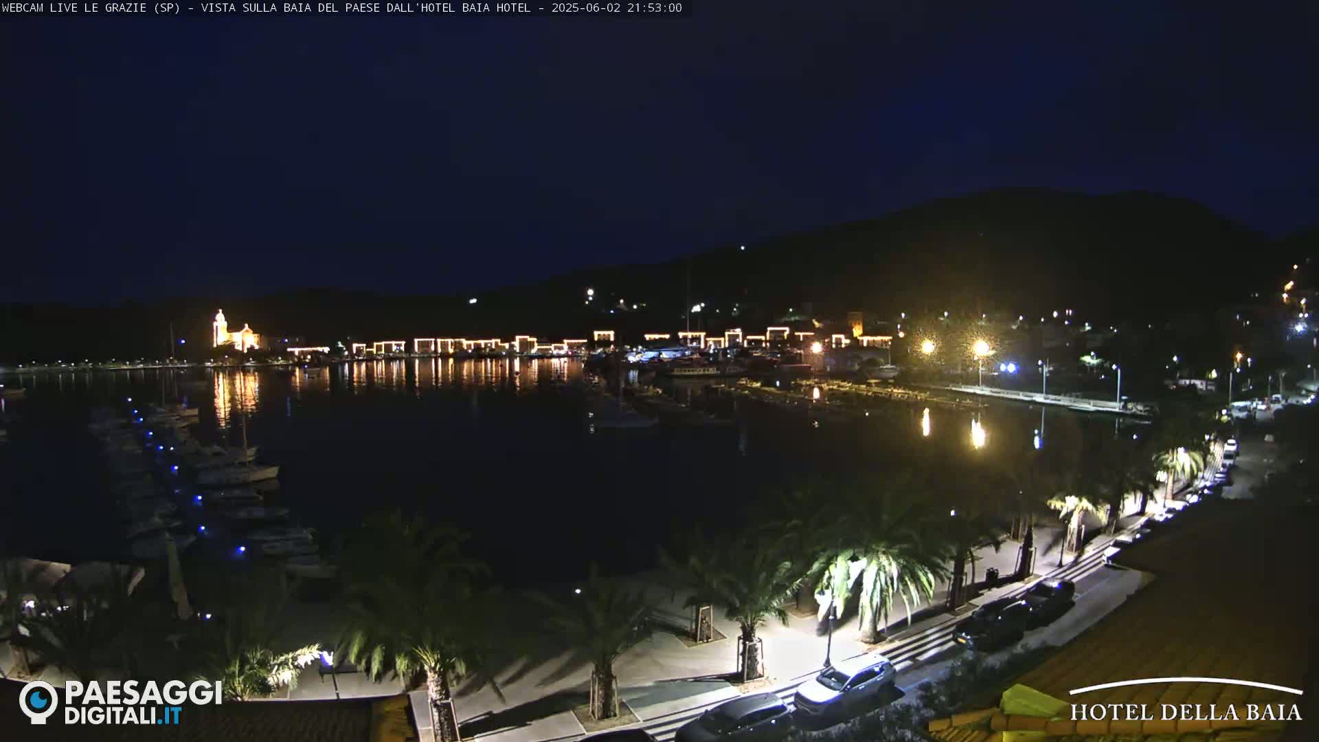 A nighttime view of a harbor, illuminated by lights along the waterfront and on boats, with palm trees lining a road beside the water.