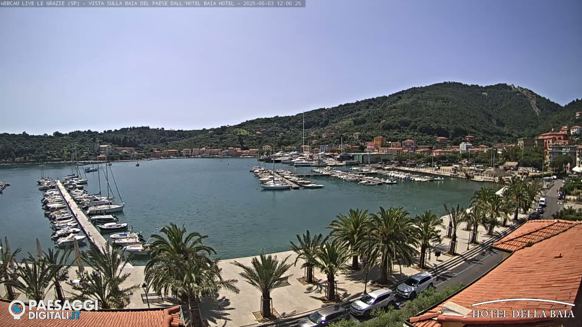 A sunny harbor scene shows numerous boats docked at a pier, palm trees lining a paved walkway beside a road with cars parked along it, all set against a backdrop of green hills and buildings.