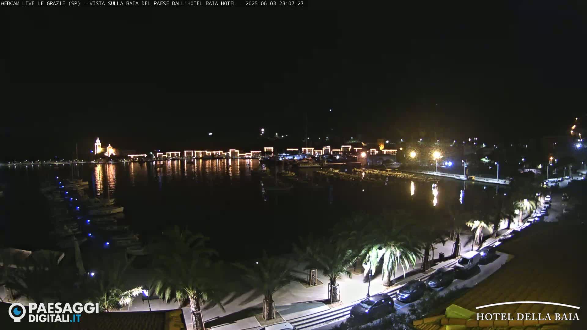 A nighttime view of a harbor filled with boats, illuminated buildings along the waterfront, and palm trees lining a paved walkway next to the water.