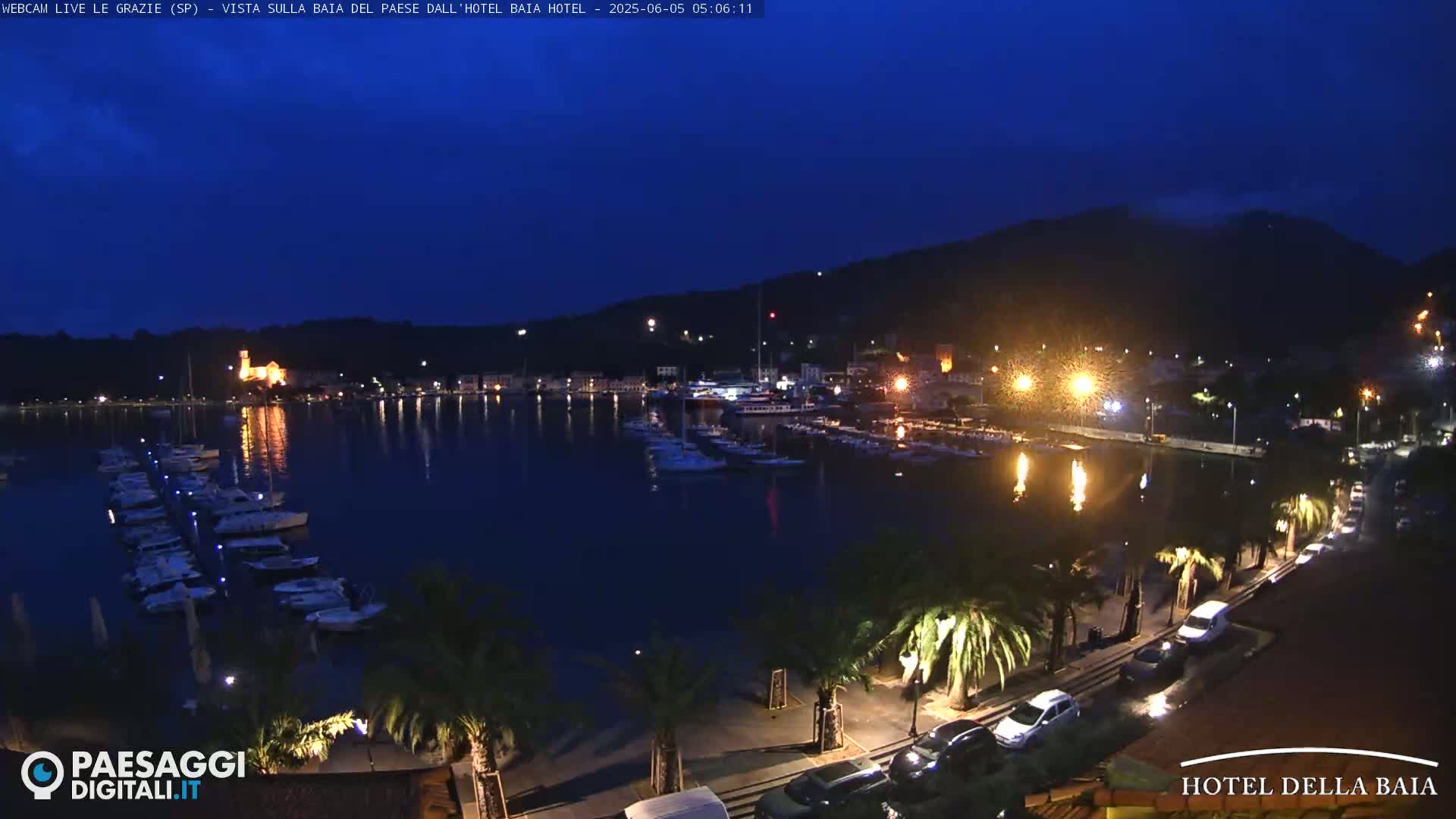 A nighttime view of a harbor filled with boats, illuminated by lights along a palm tree-lined waterfront under a dark blue, clear sky.