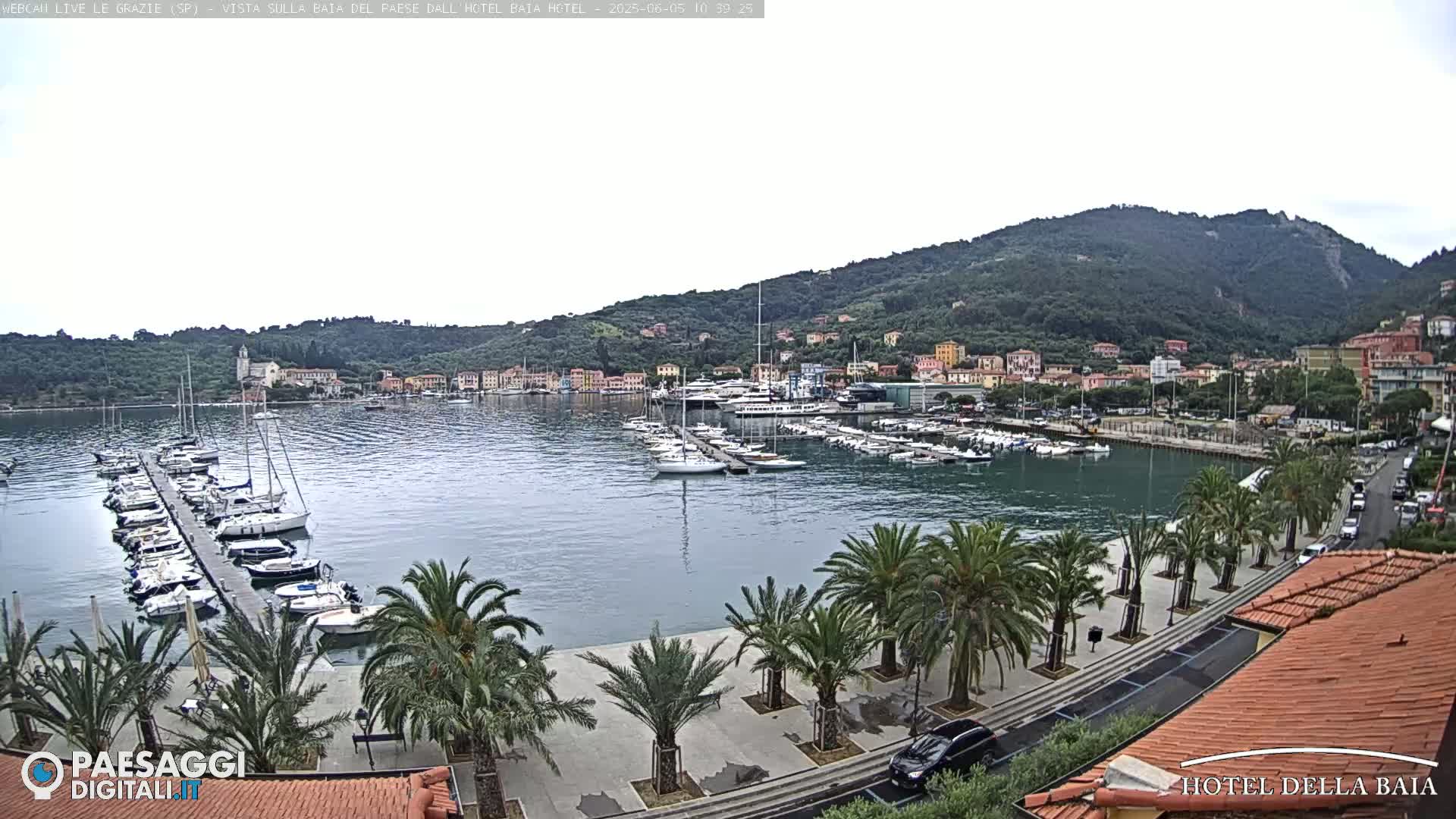 A harbor filled with sailboats and yachts is nestled below a hillside town under an overcast sky.