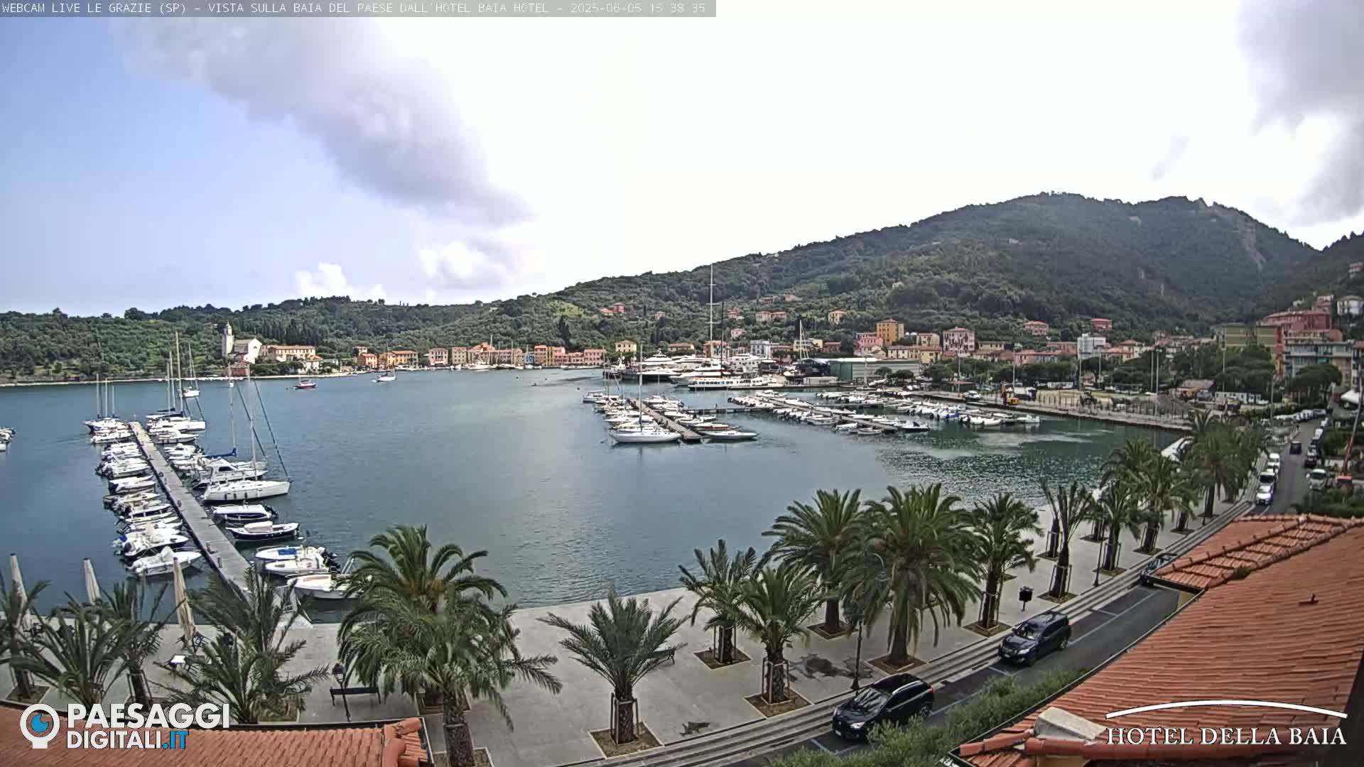 A harbor filled with sailboats and yachts is situated near a town nestled against a hillside under a partly cloudy sky.