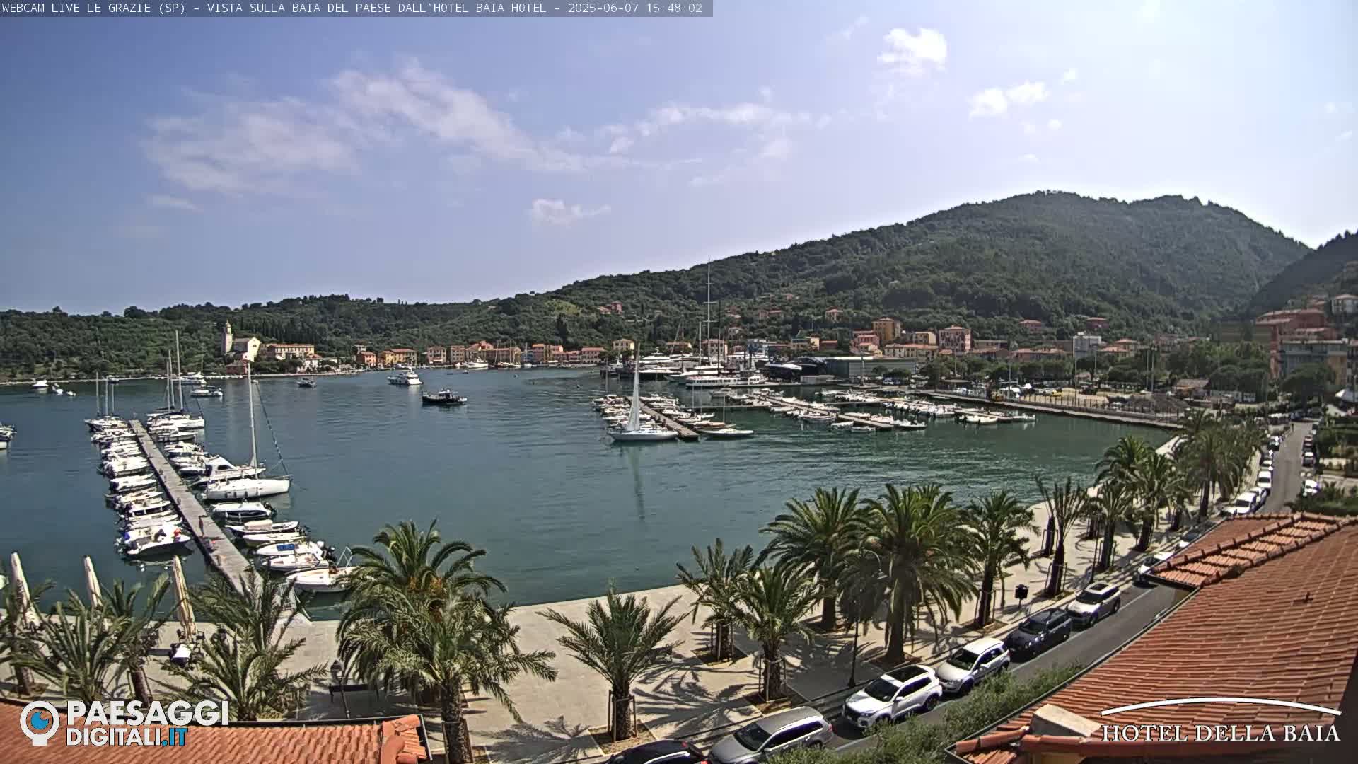 A harbor filled with sailboats and yachts is nestled beside a town on a sunny day, with a hillside rising behind it, lined with palm trees along a paved walkway.