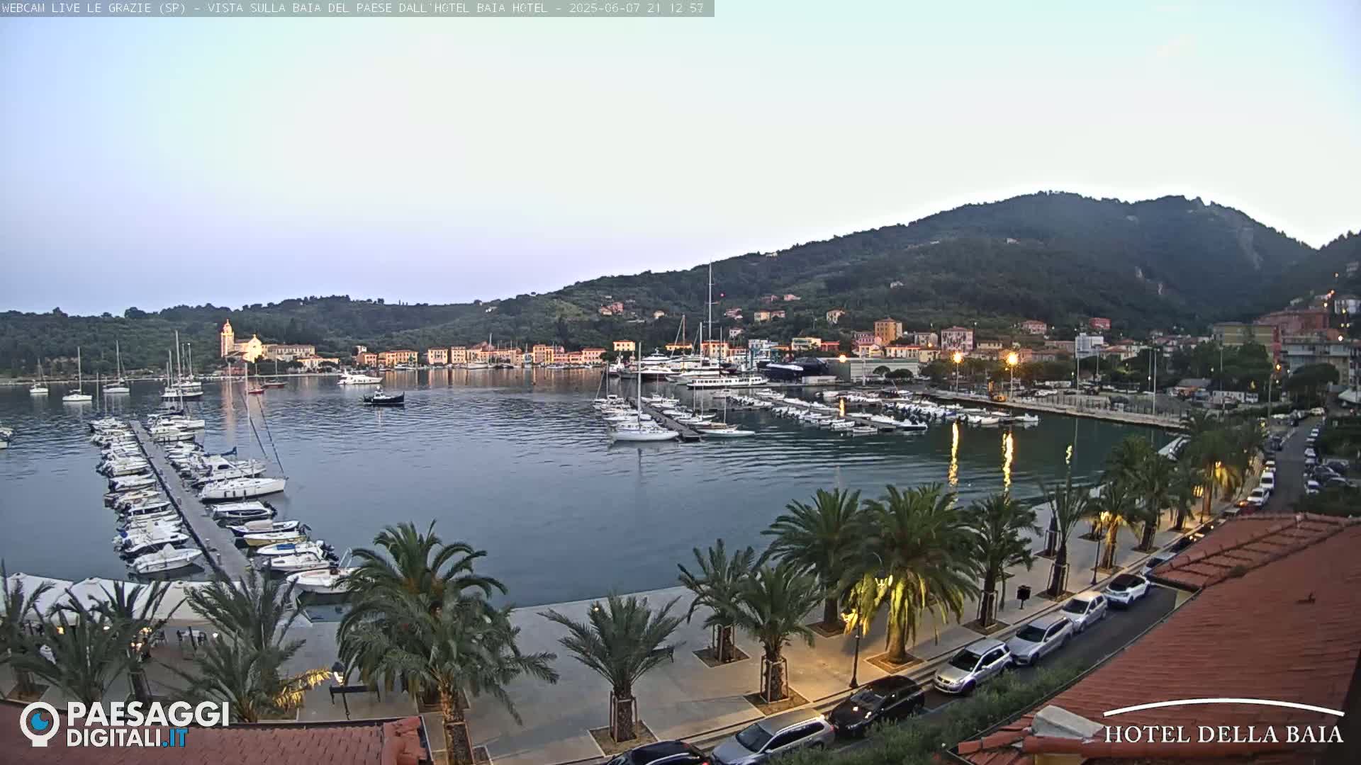 A calm harbor filled with boats sits beneath a hill at dusk, lined with palm trees and cars along a paved walkway.