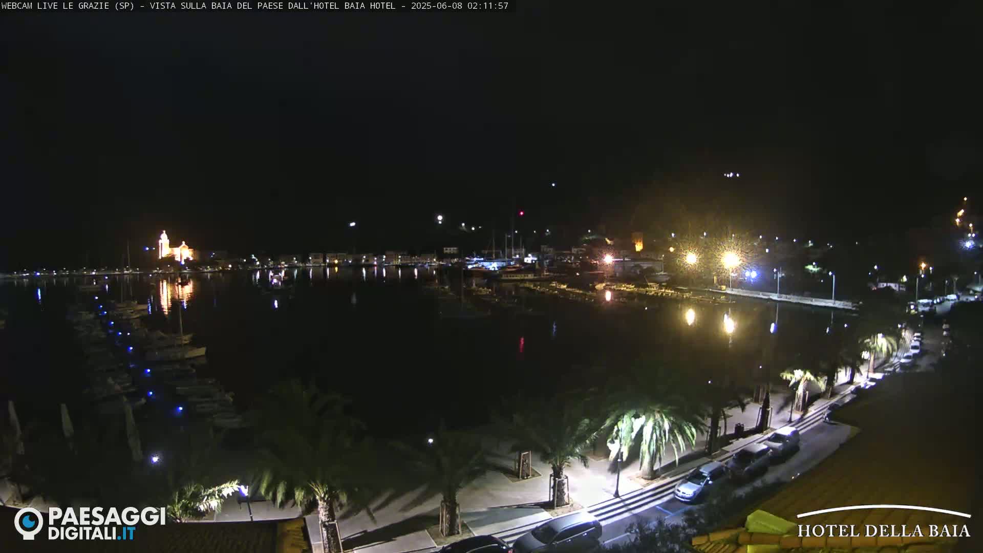 A nighttime view of a harbor filled with boats, illuminated buildings, and palm trees lining a roadway.