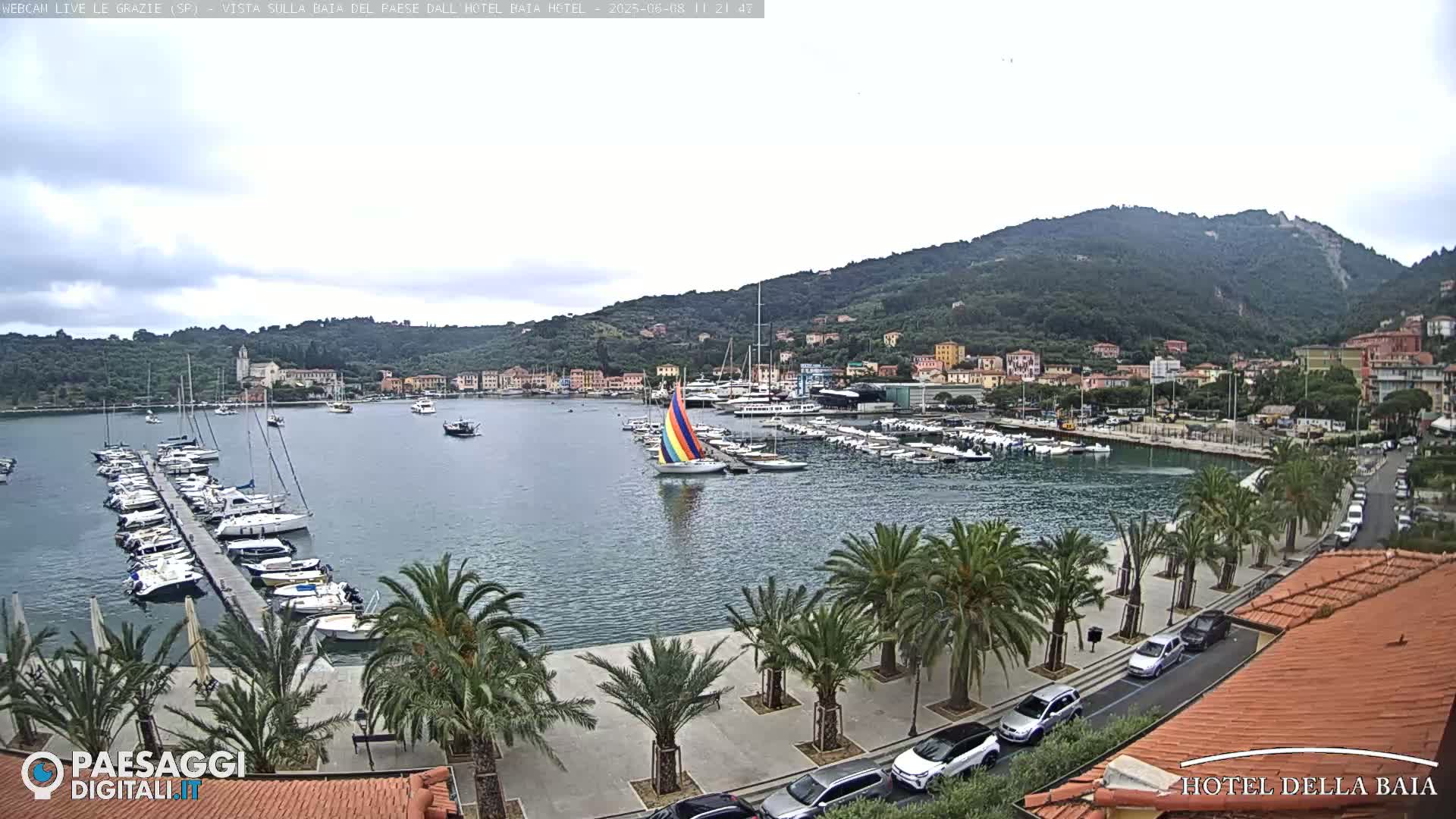 A harbor filled with boats is situated below a hillside town under an overcast sky, with palm trees lining a waterfront walkway.