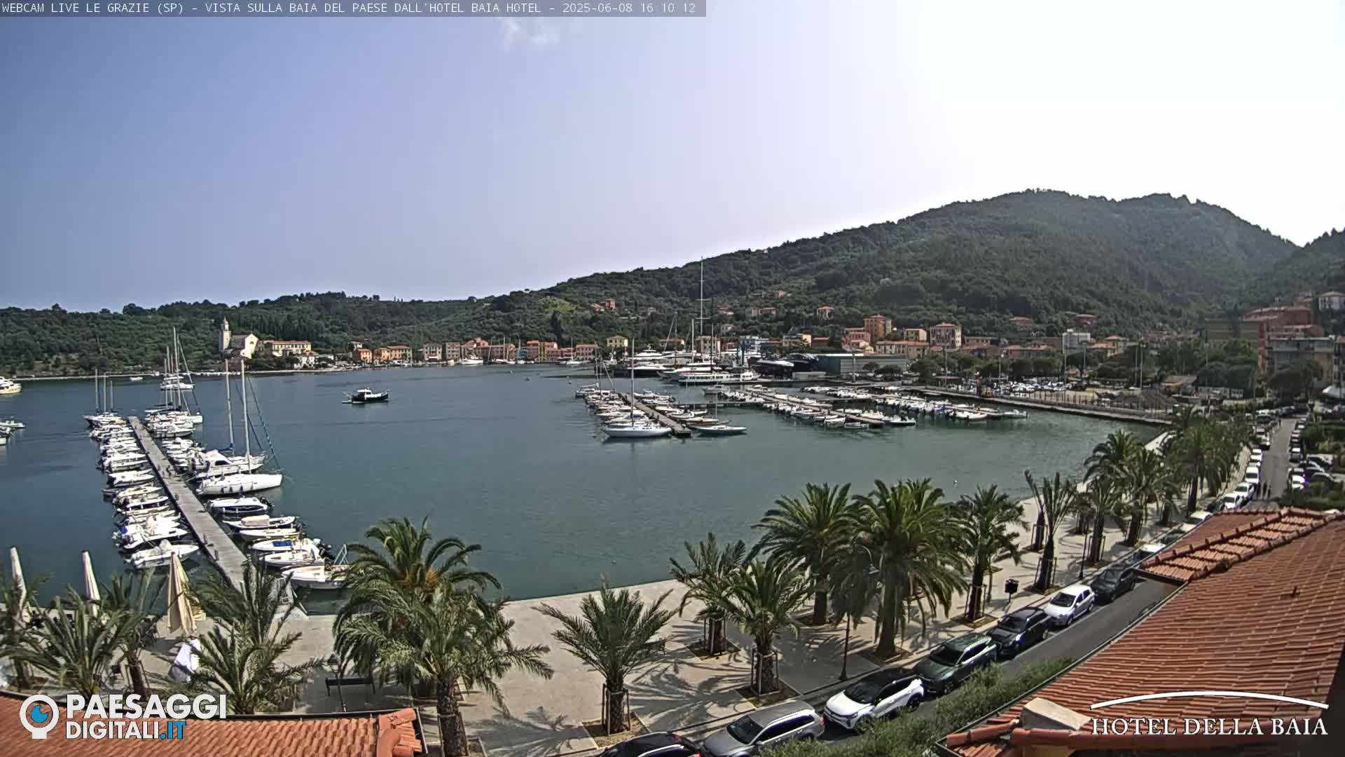 A sunny harbor filled with sailboats and motorboats is bordered by a paved walkway lined with palm trees and parked cars, with a verdant hill rising in the background.