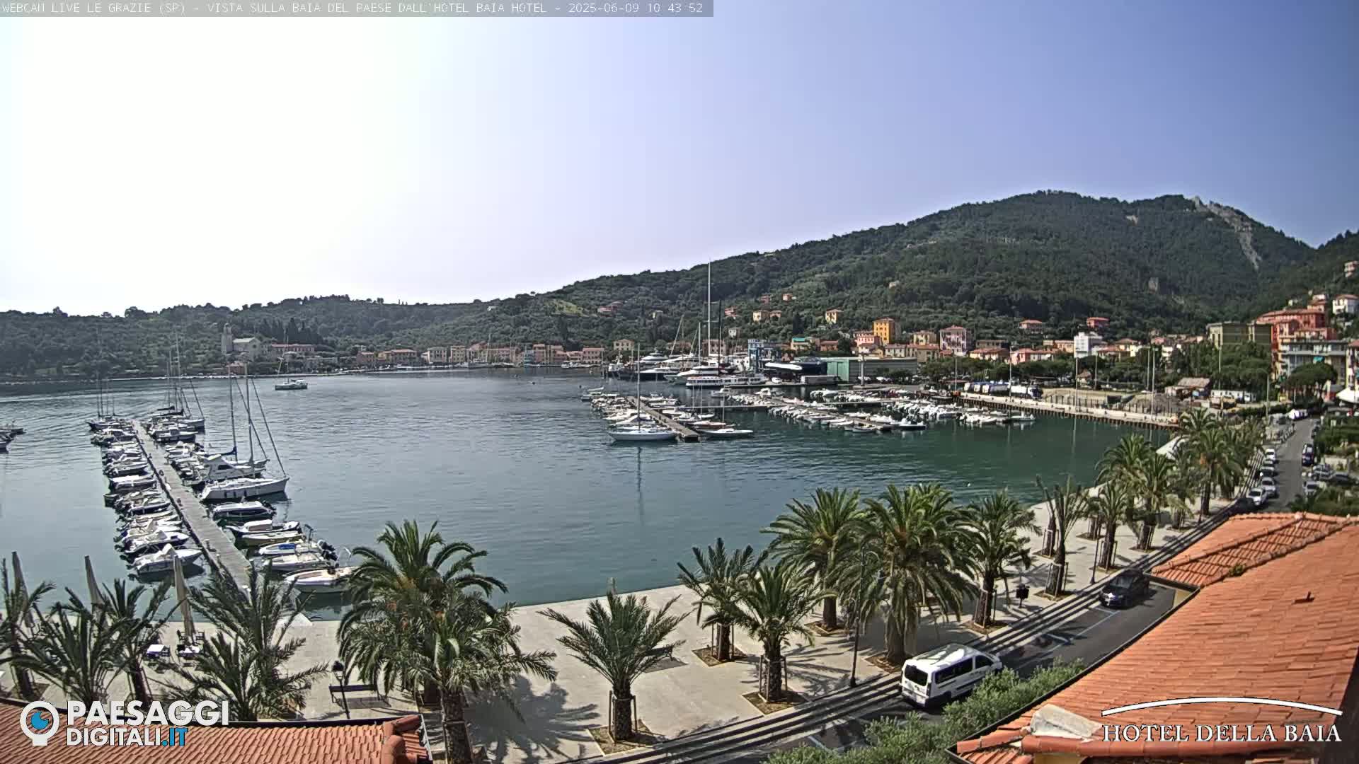 A harbor filled with sailboats is situated below a hillside town on a clear, sunny day.