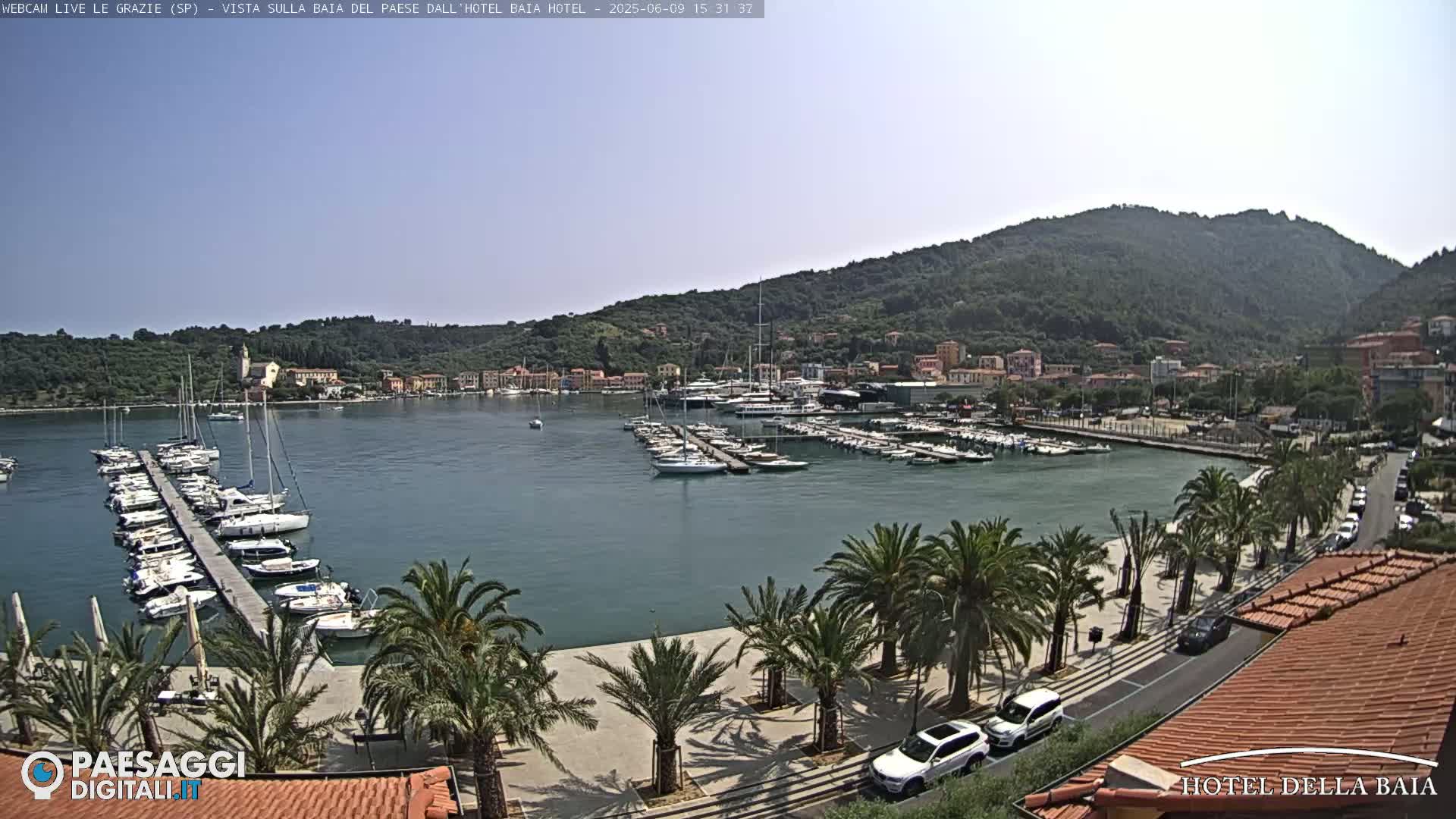A harbor filled with sailboats and yachts is nestled beside a town at the base of a verdant hill under a clear sky.