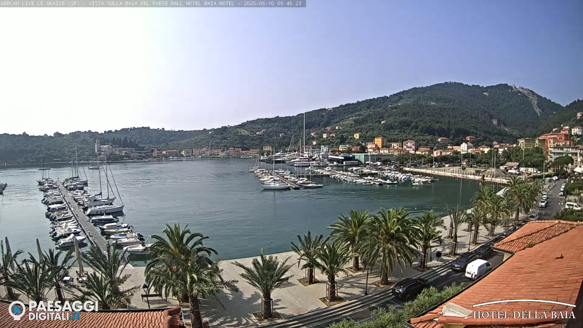 A harbor filled with sailboats and yachts is nestled beside a town on a hillside under a clear sky.