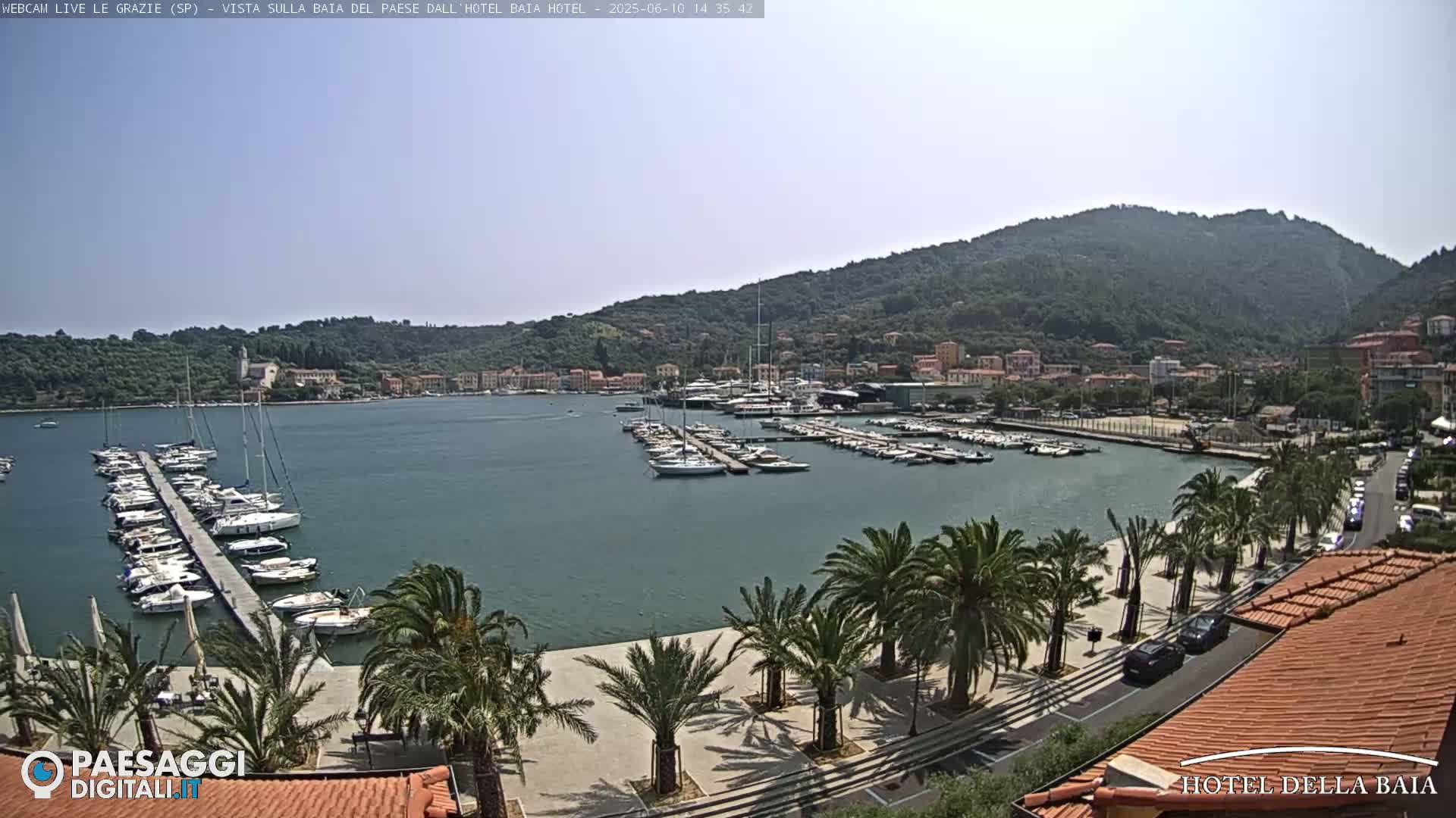A sunny harbor scene shows a marina filled with sailboats and yachts, bordered by a palm-tree-lined promenade and backed by a hillside town.
