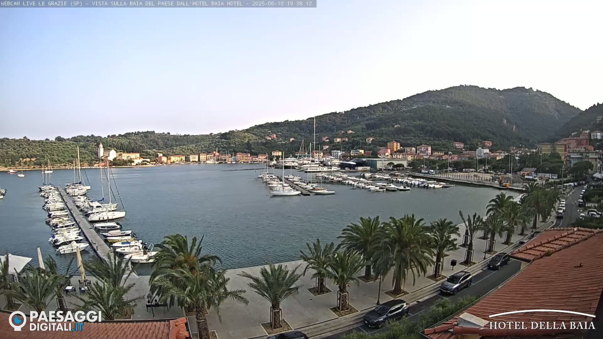A harbor filled with sailboats and yachts is nestled beside a town, backed by a verdant hillside under a clear sky.