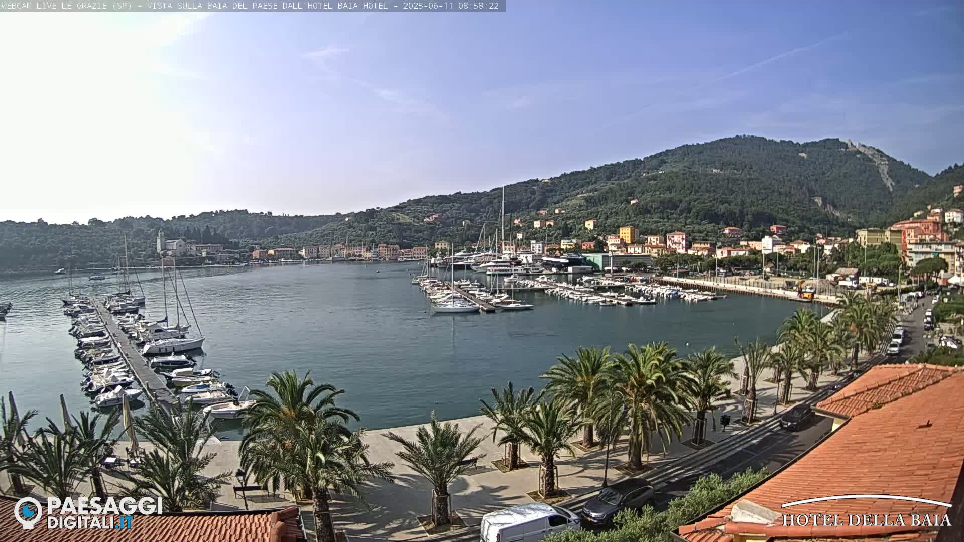A harbor filled with sailboats is nestled between a palm-lined promenade and a verdant hillside under a clear, sunny sky.