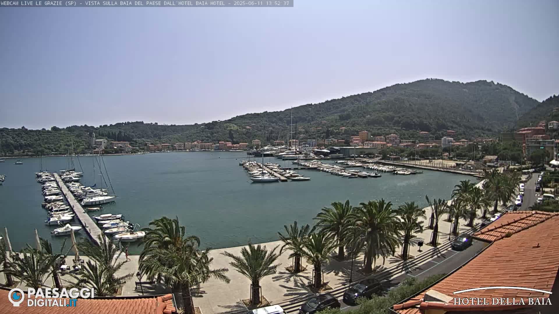 A sunny harbor filled with sailboats and yachts is bordered by a palm tree-lined promenade and a hillside town.