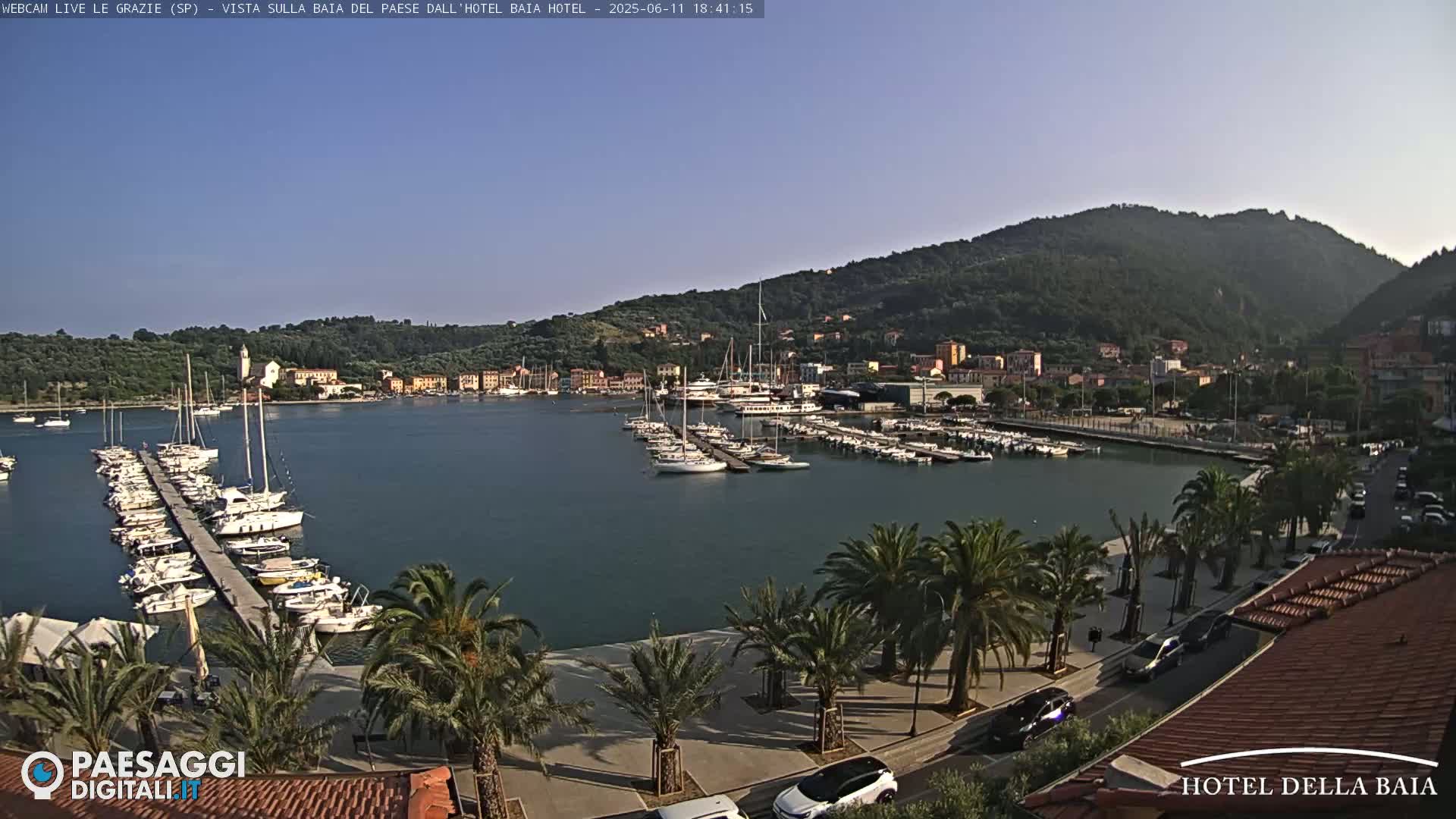A harbor filled with sailboats and yachts is situated below a hillside town under a clear blue sky.