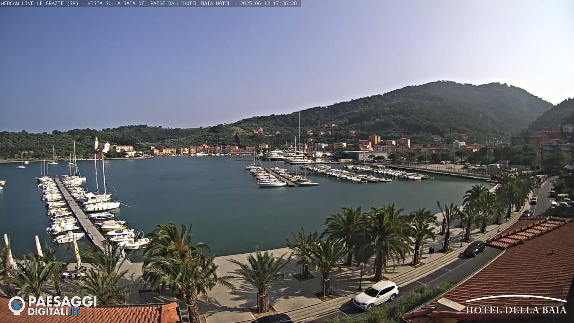 A sunny harbor scene shows a calm body of water filled with sailboats and yachts docked at piers, lined by palm trees and a road, with a hillside town and green mountains in the background.
