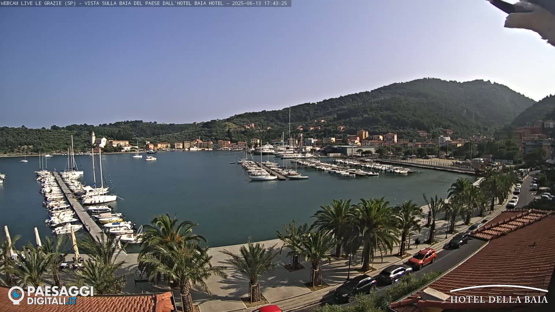 A harbor filled with sailboats and yachts is situated beside a town on a hillside under a clear sky.