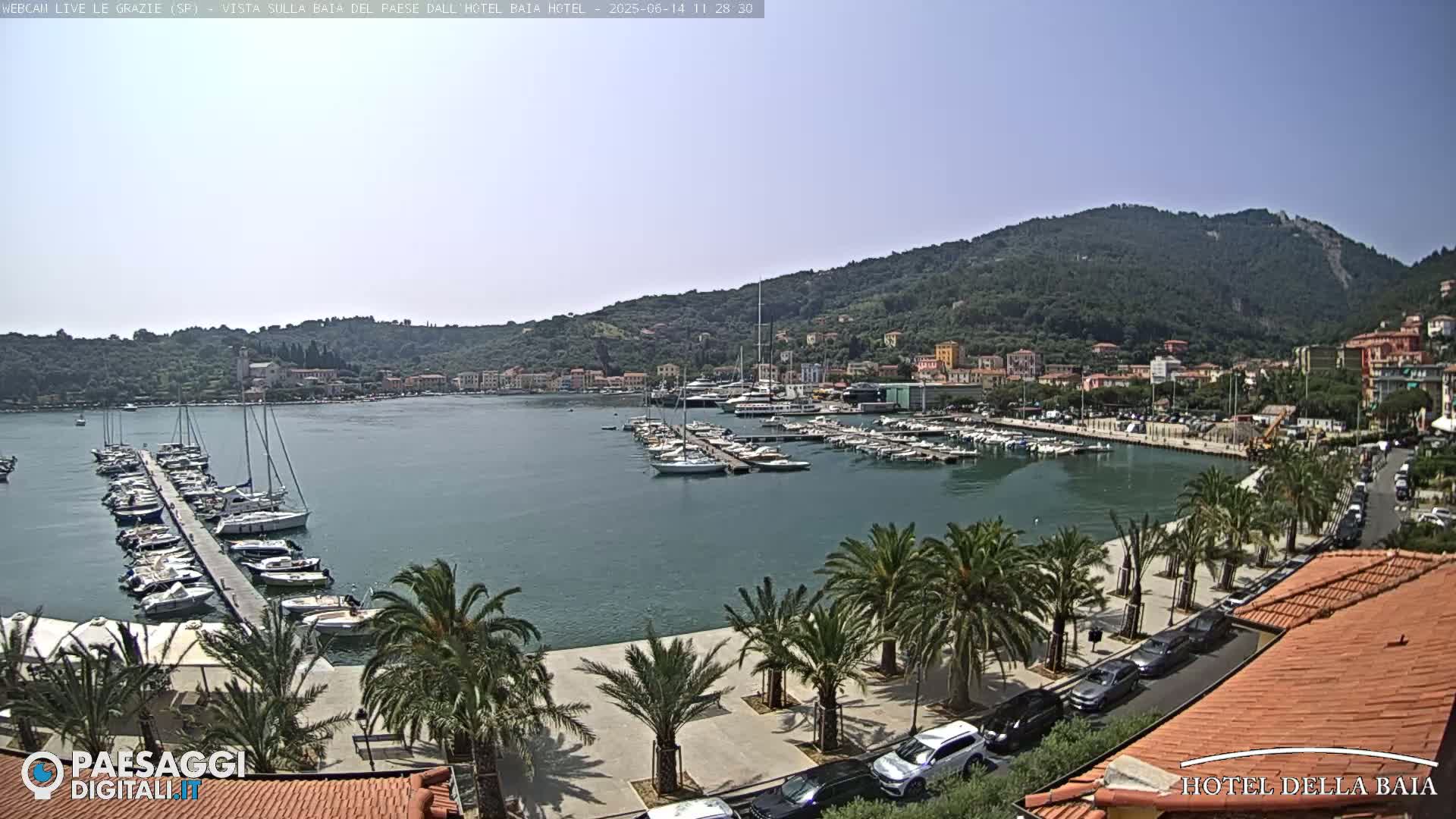A sunny harbor scene shows numerous boats docked at a pier, palm trees lining a paved walkway, and a town nestled against a hillside in the background.