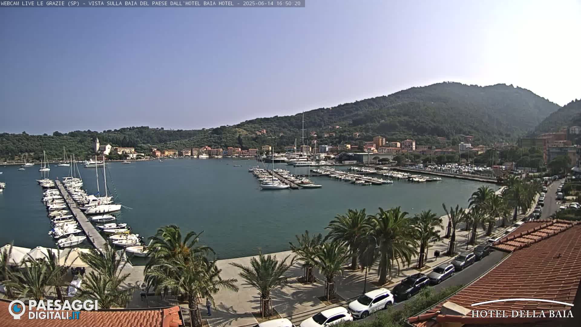 A sunny day overlooking a calm harbor filled with sailboats docked at a pier, a town nestled against a hillside in the background, and palm trees lining a paved walkway.
